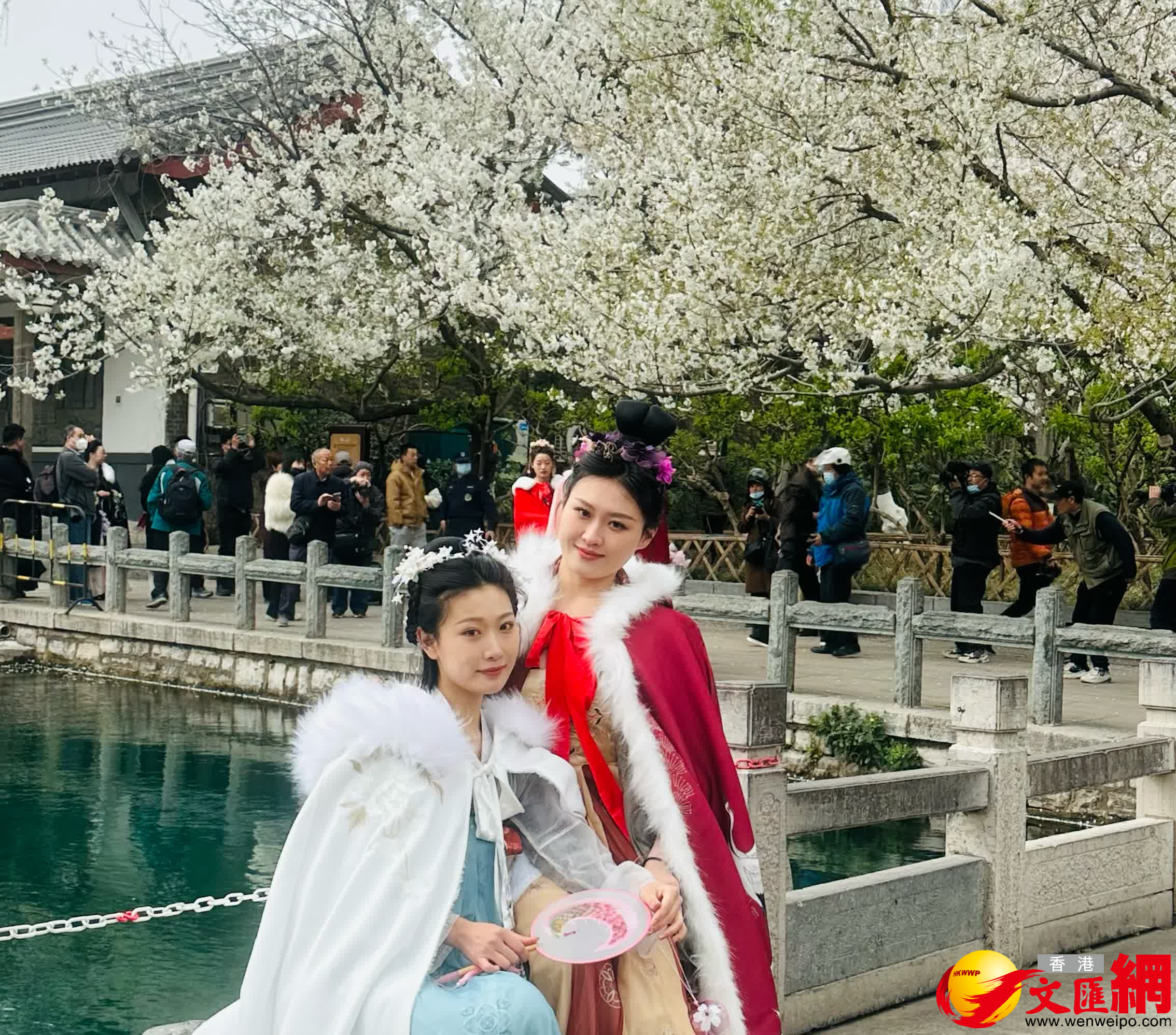 濟南市第二十屆五龍潭櫻花節開幕，圖為穿漢服的女孩在櫻花樹前拍照。（香港文匯網記者丁春麗 攝）
