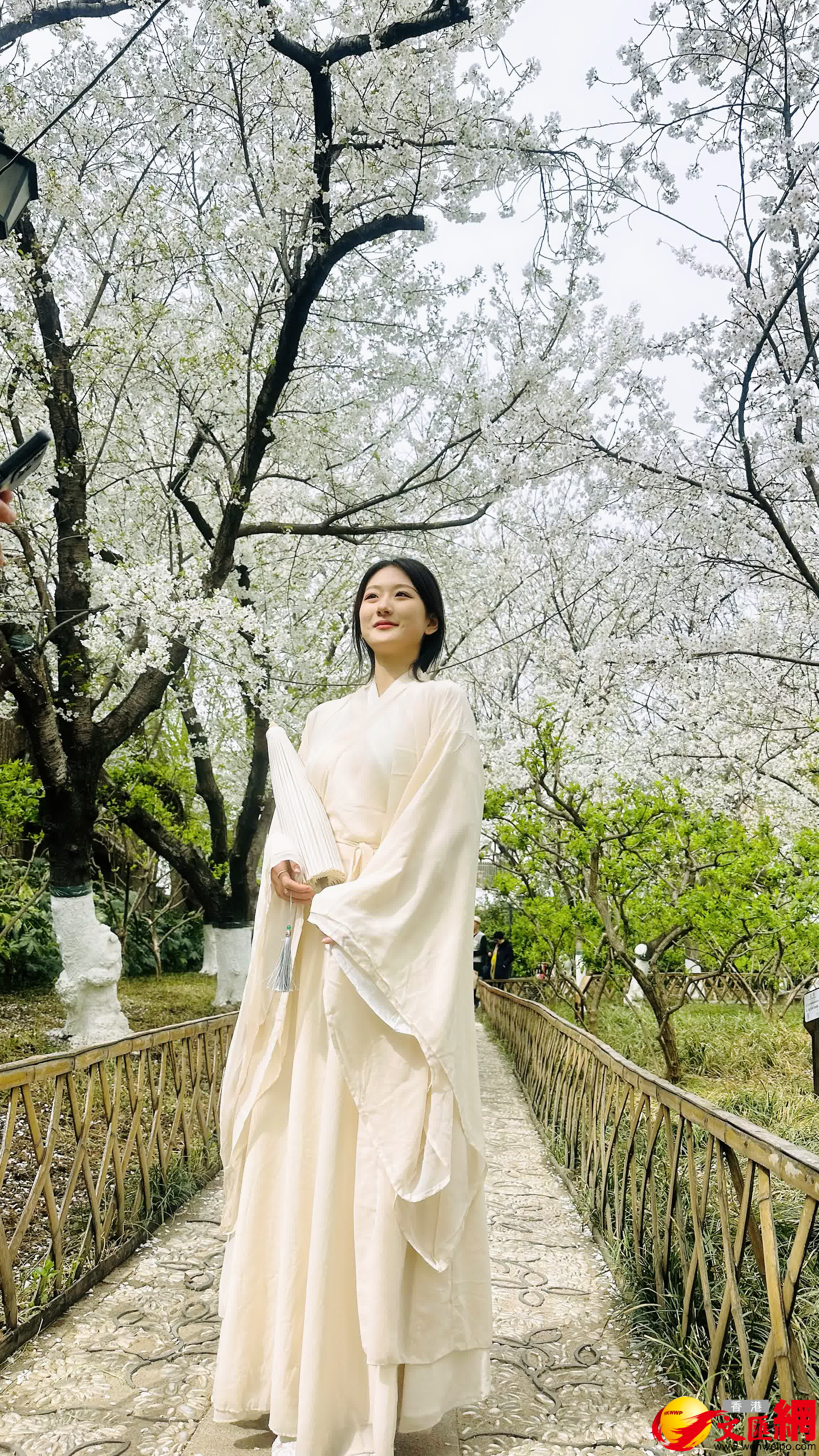 圖為穿漢服的女孩在櫻花樹下拍照。（香港文匯網記者丁春麗 攝）