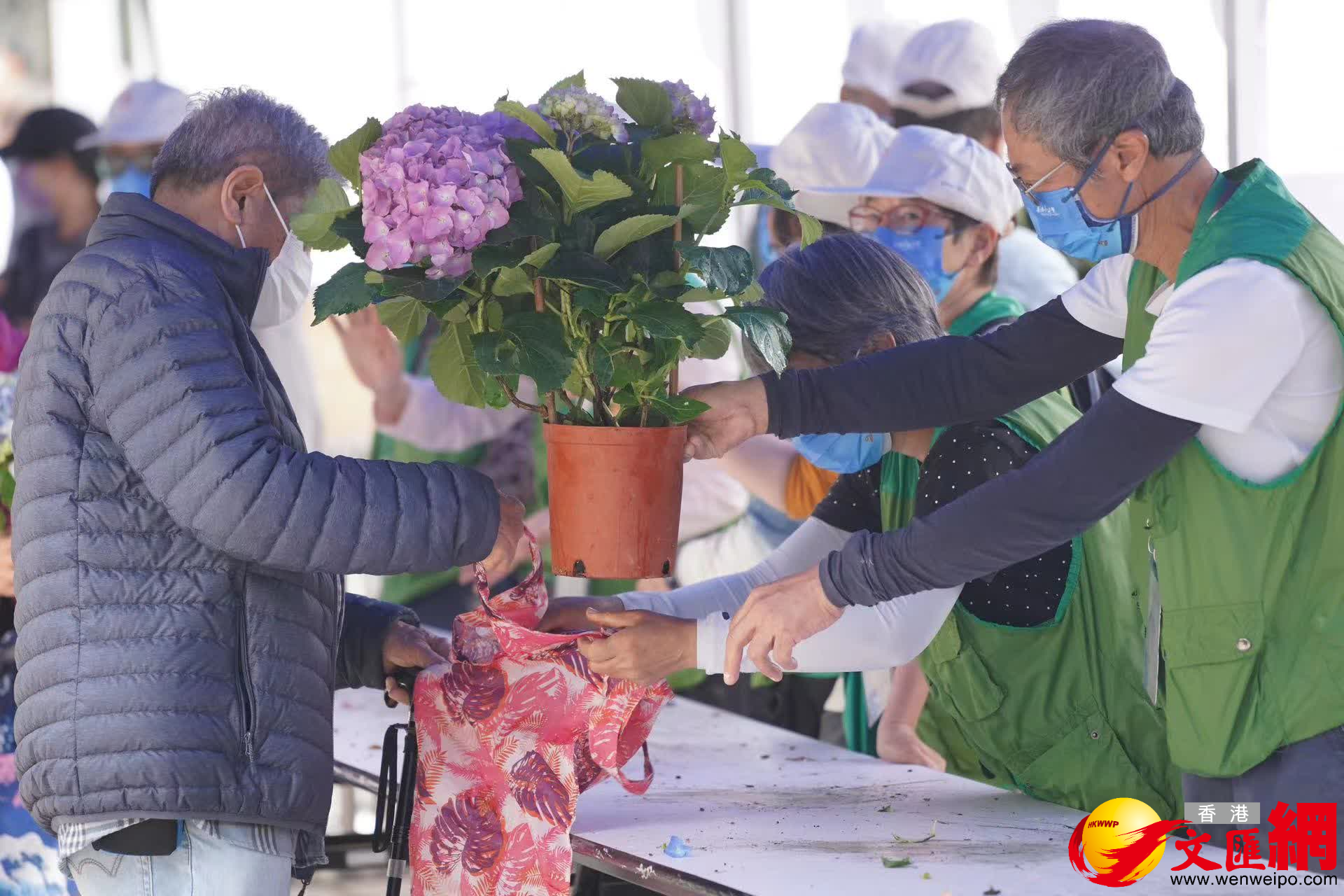 不少市民自備環保袋裝走花卉。(大公文匯全媒體記者麥鈞傑攝) 不少市民自備環保袋裝走花卉。(大公文匯全媒體記者麥鈞傑攝)