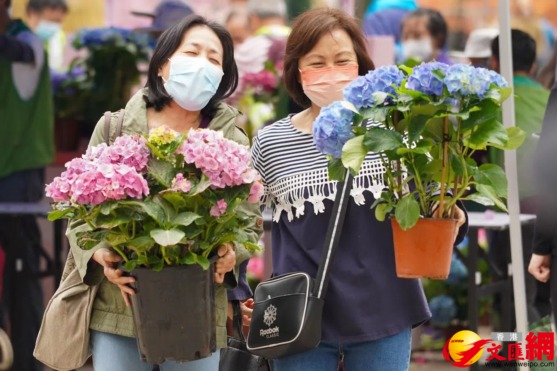 市民心滿意足捧走靚花。(大公文匯全媒體記者麥鈞傑攝) 市民心滿意足捧走靚花。(大公文匯全媒體記者麥鈞傑攝)