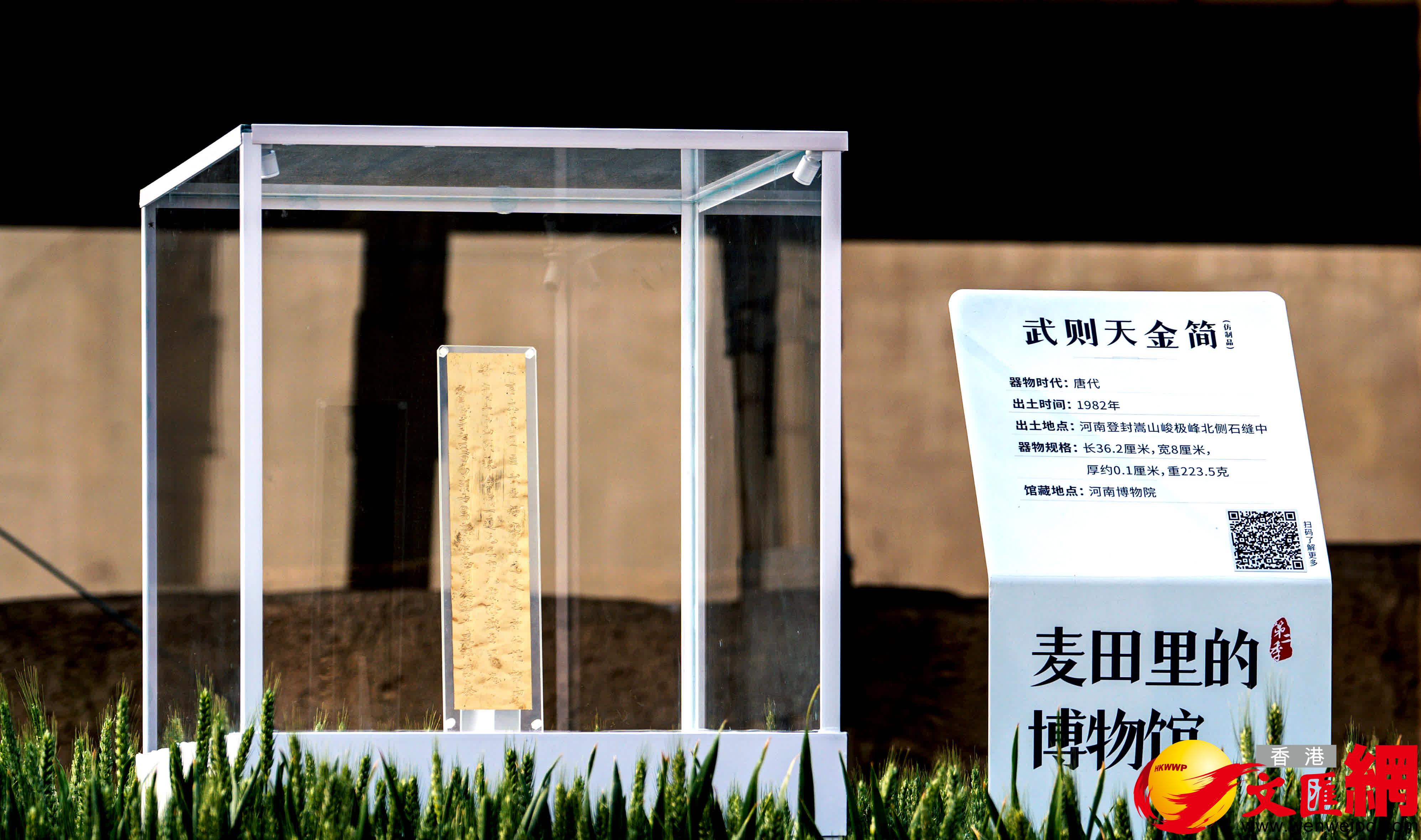 《武則天金簡》（仿製品），器物時代：唐代，出土時間：1982年，出土地點：河南登封嵩山峻極峰，館藏地點：河南博物院（記者 馮雷 攝）