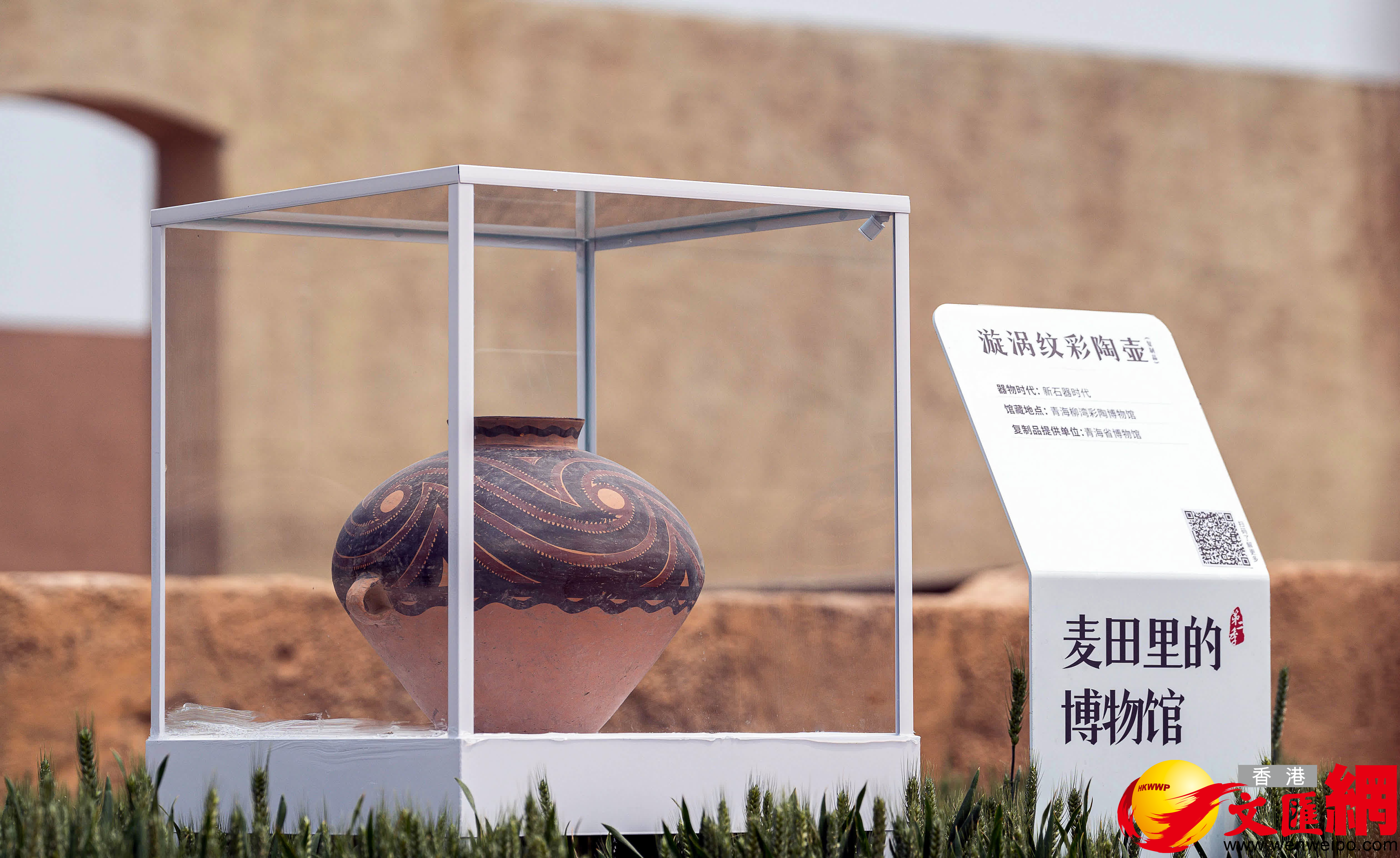 《漩渦紋彩陶壺》（複製品），器物時代：新石器時代，館藏地點：青海柳灣彩陶博物館，複製品提供單位：青海省博物館（記者 馮雷 攝）