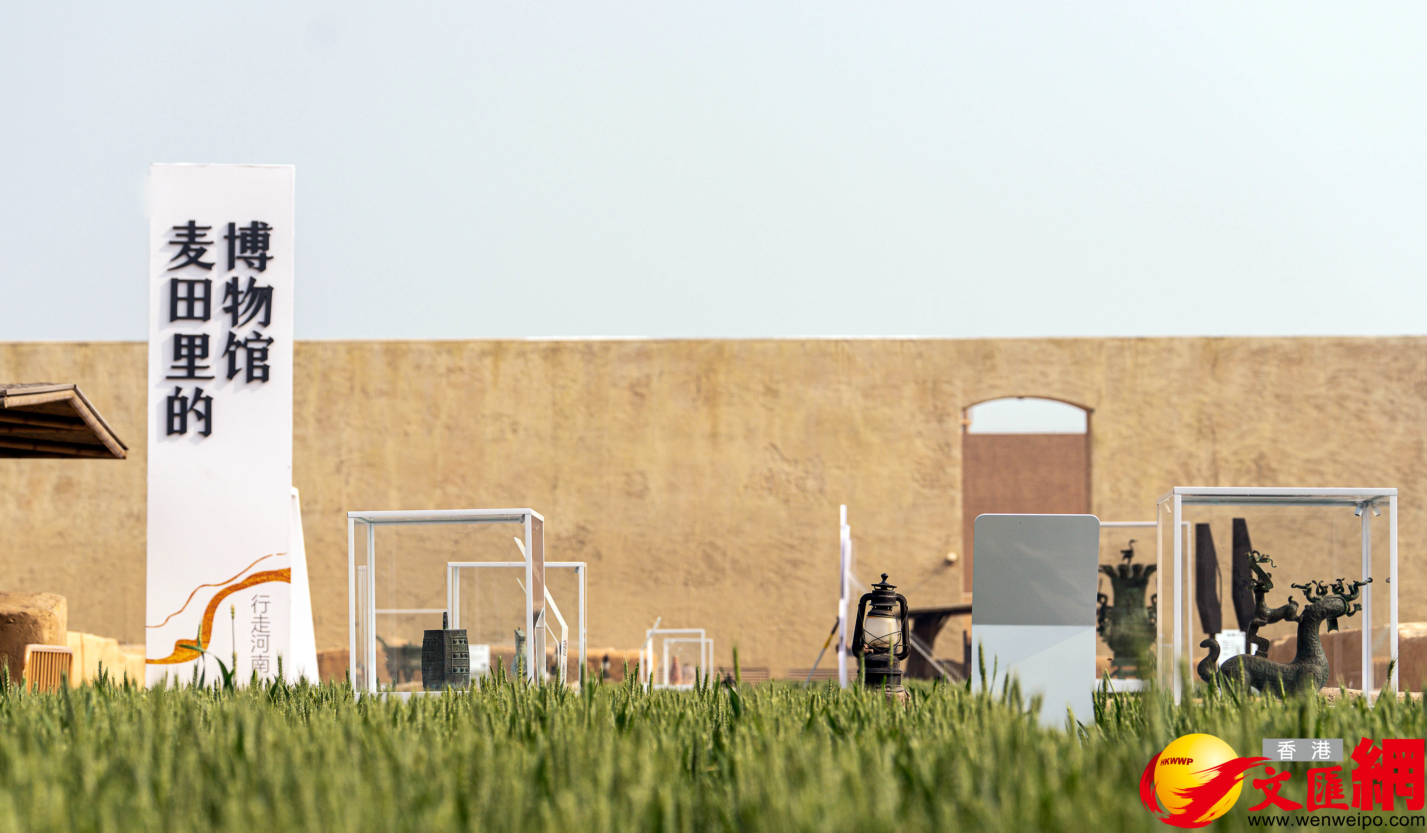 在麥田里上演一場傳統與現代的對話（記者 馮雷 攝）