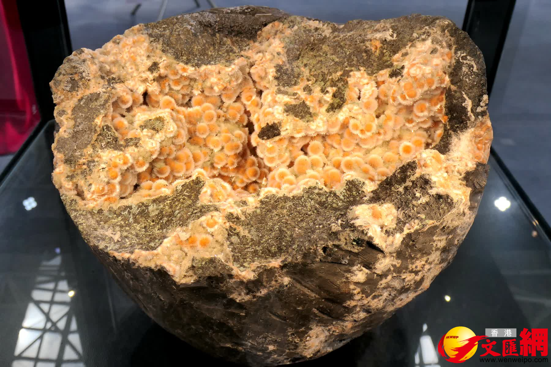 圖為現場展出的奇異礦物寶石。（賀鵬飛攝）