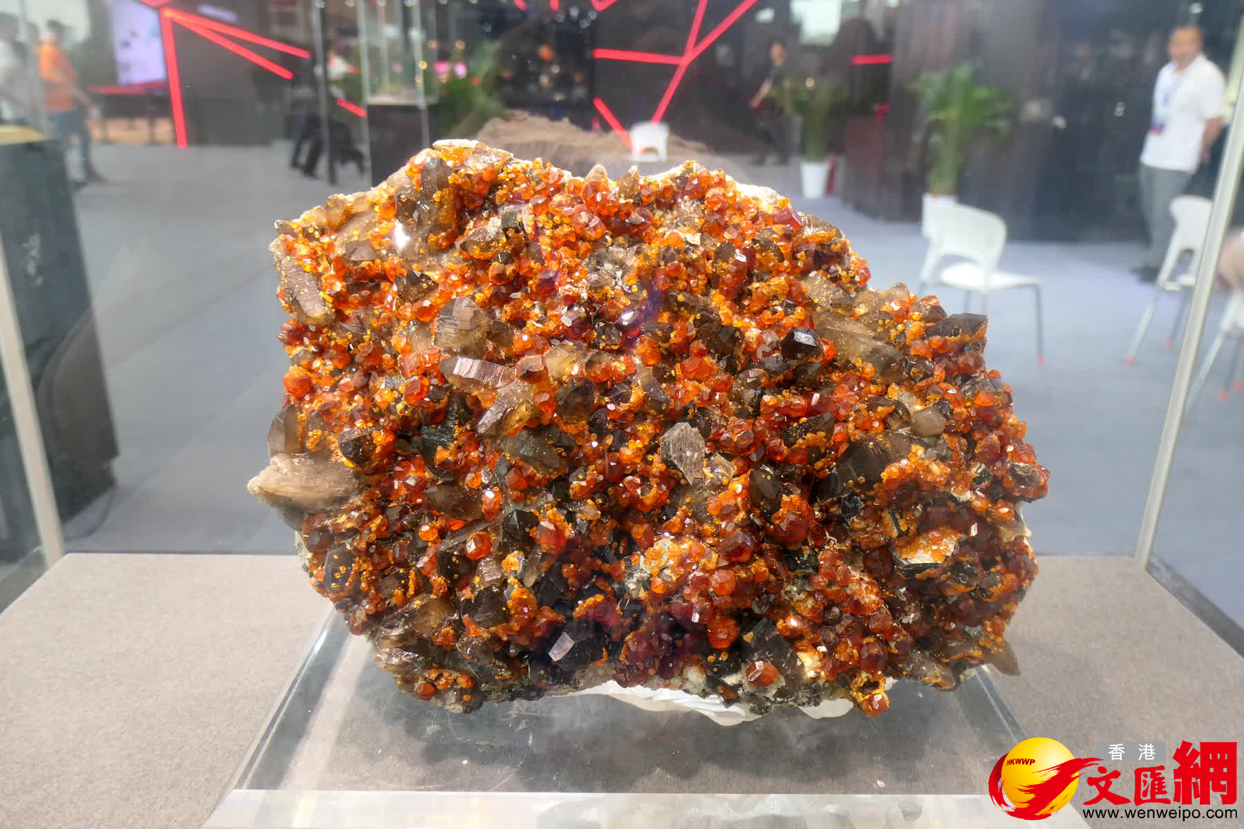  圖為現場展出的石榴石+水晶。（賀鵬飛攝）