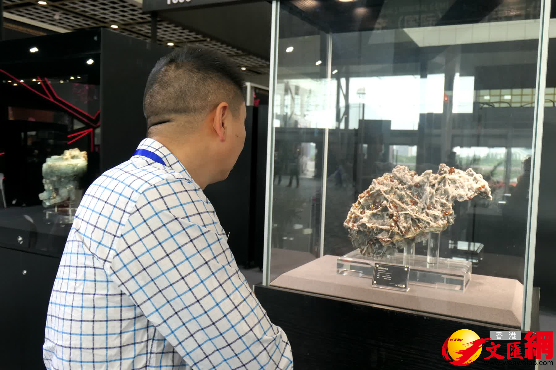 圖為一名觀眾欣賞現場展出的紅閃鋅礦+水晶。（賀鵬飛攝）