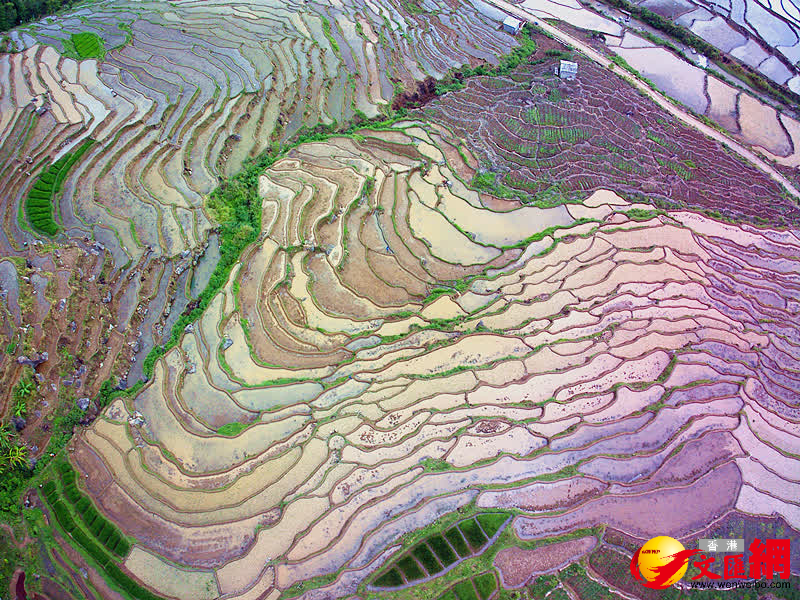 梯田美景。（通訊員趙輝、龔祖金 攝）