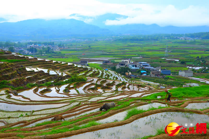 遠山、農舍與梯田相互映襯，構成了一幅鄉村美麗畫卷。（通訊員趙輝、龔祖金 攝）