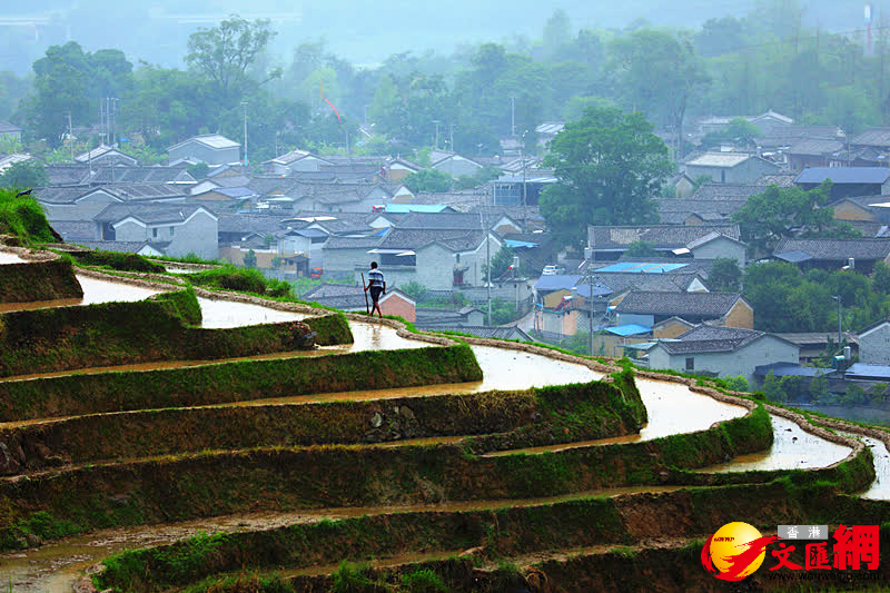 梯田裏農人正在耕耘。（通訊員趙輝、龔祖金 攝）