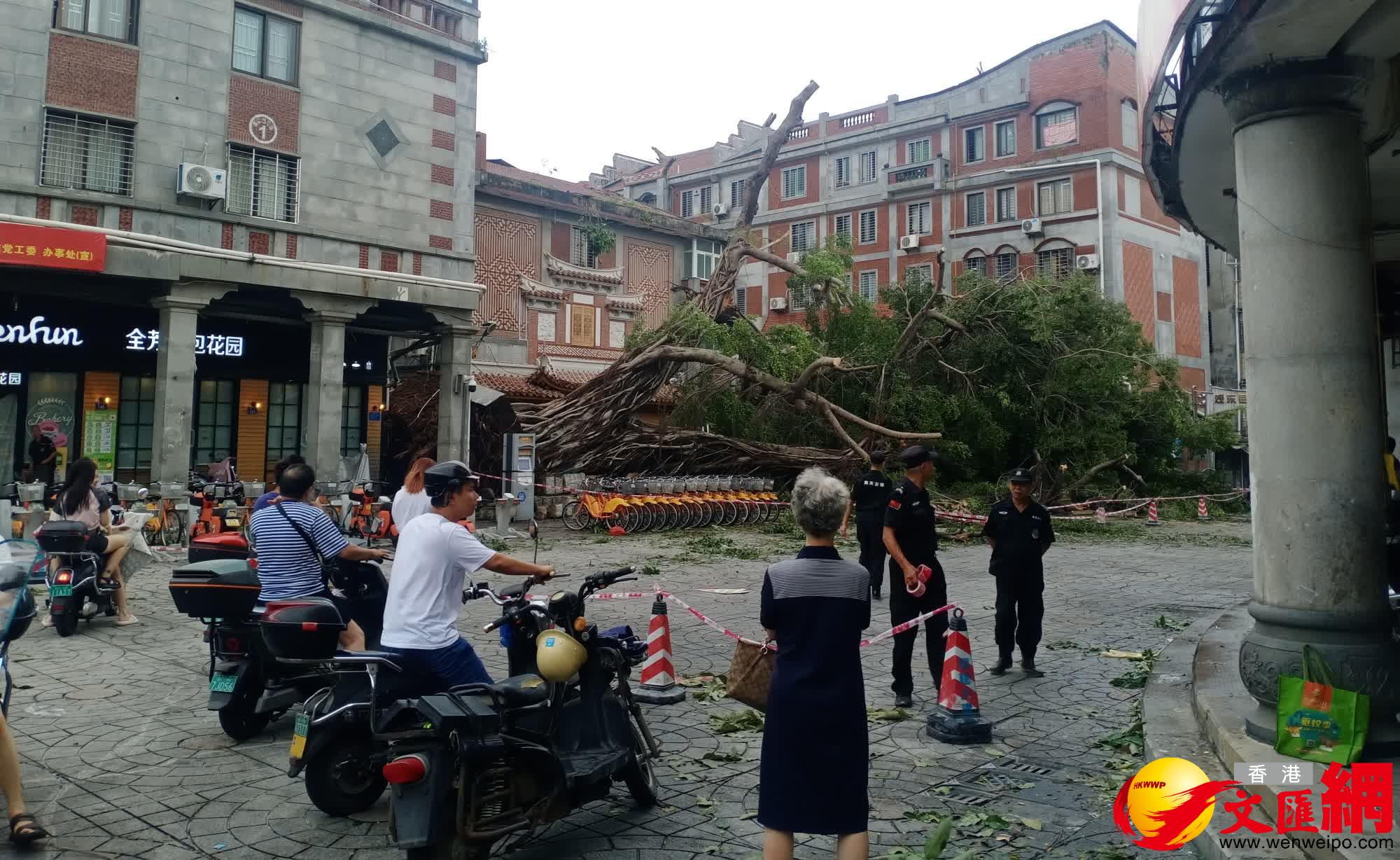 來勢洶洶的「杜蘇芮」下午已無風雨，福建各地迅速轉入救災。有部分交通仍無法恢復。（蔣煌基攝）