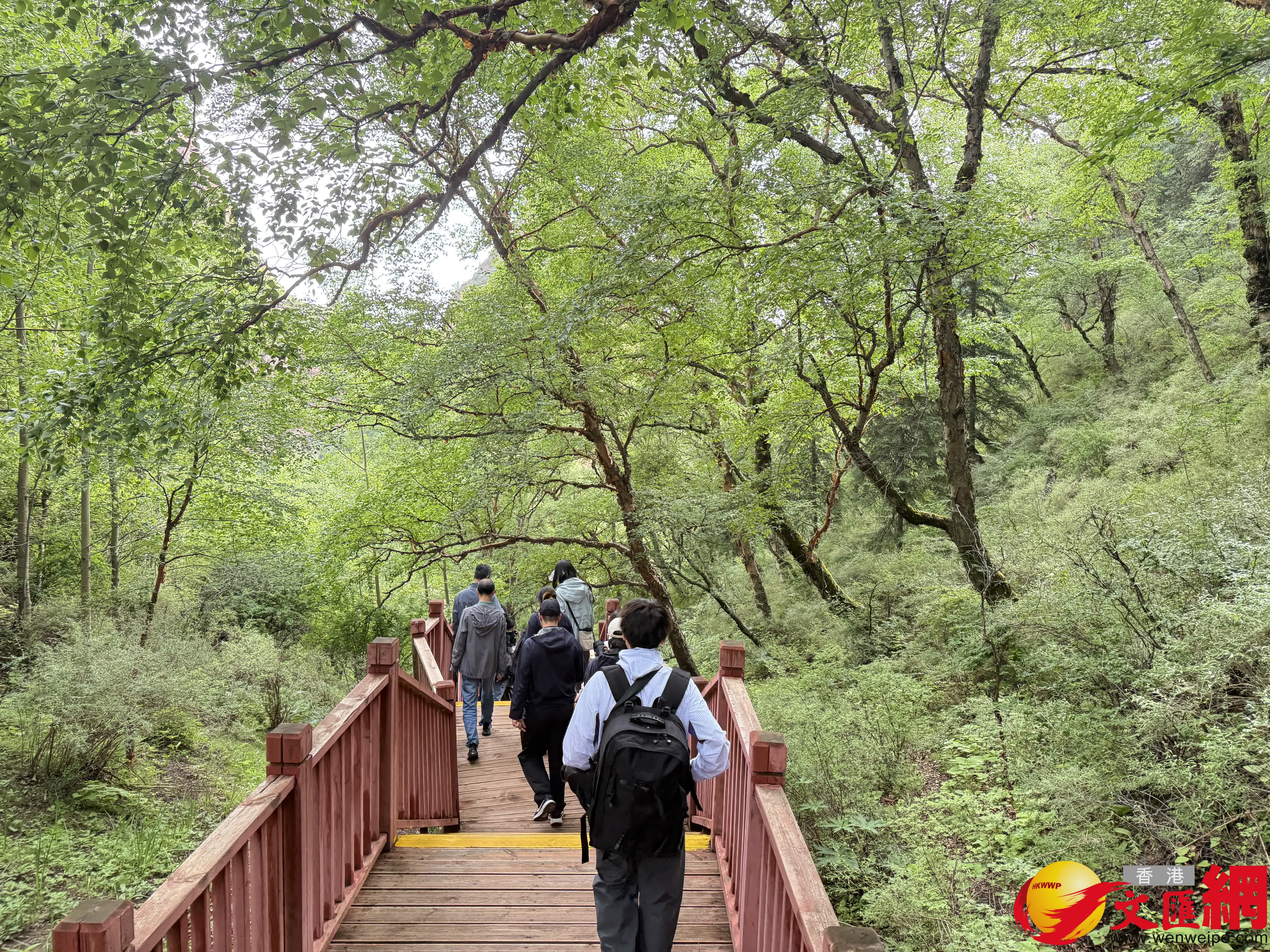坎布拉森林公園景色優美，就像一座天然氧吧。（記者張仕珍 攝）