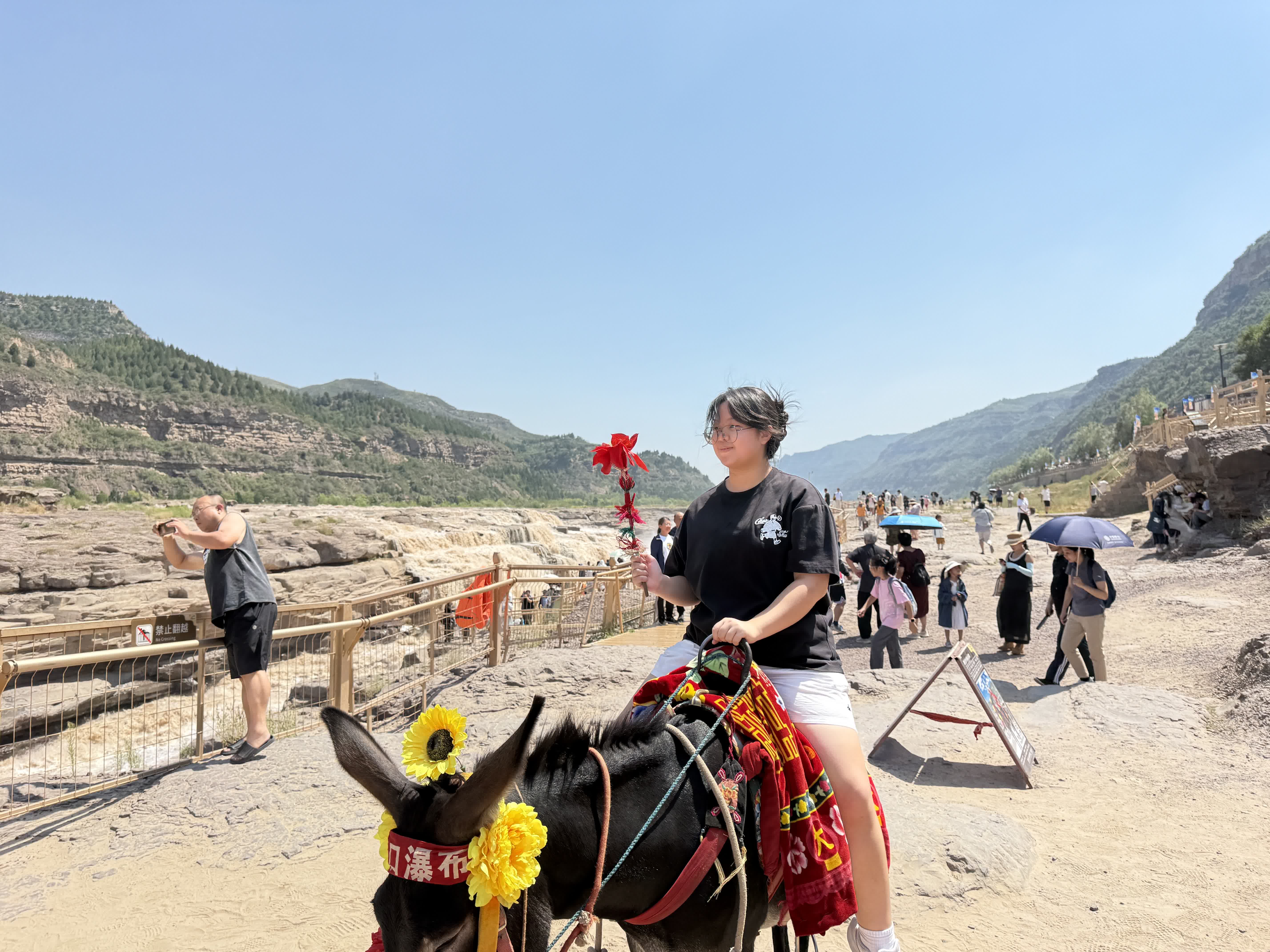 遊客在黃河壺口瀑布景區體驗騎毛驢。（記者張仕珍 攝）