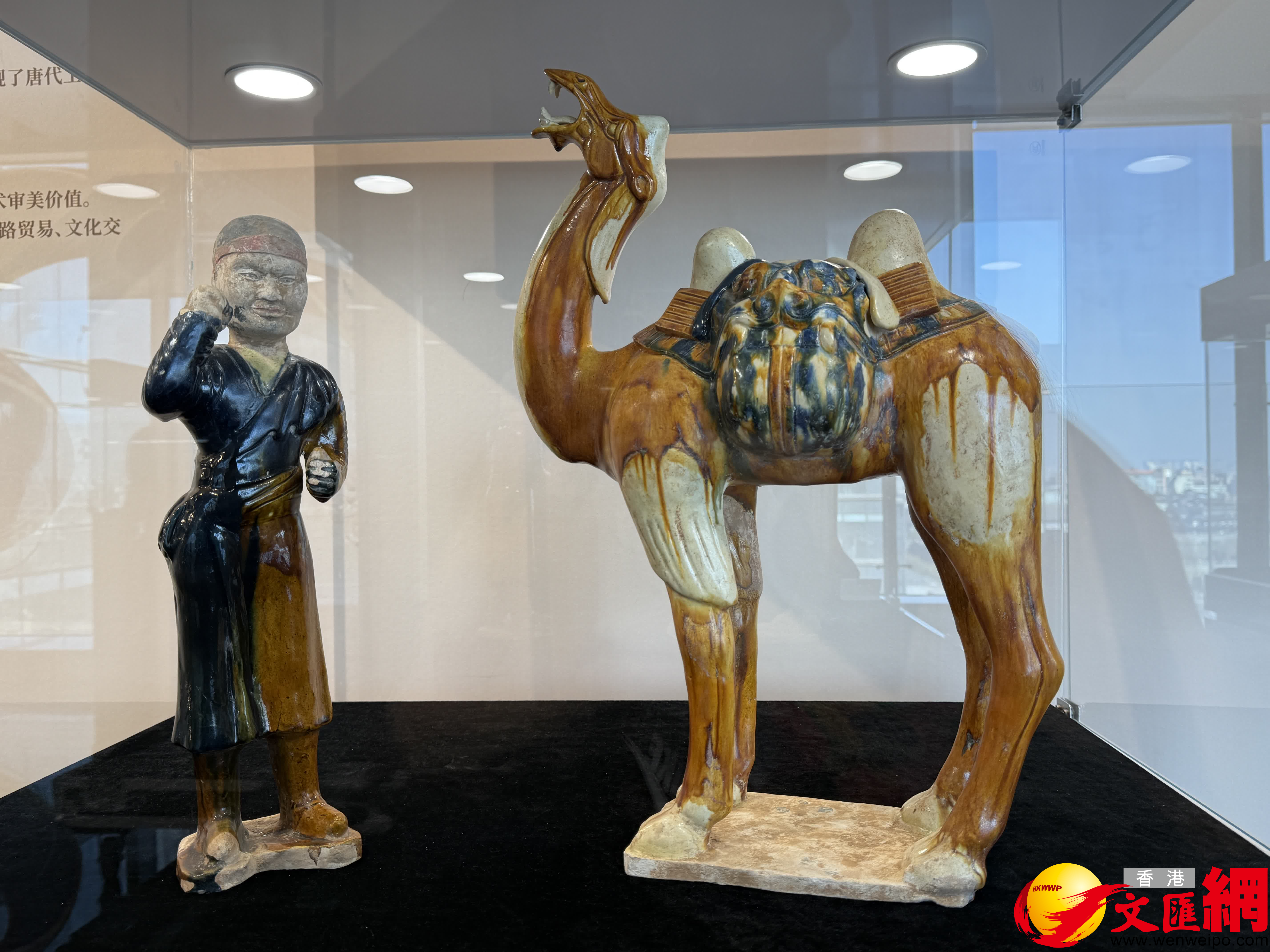 現場展出的唐代三彩胡人牽駝俑及駝。（記者張仕珍攝）