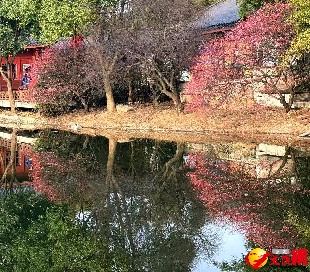 臨水照紅妝。（記者姚進攝）