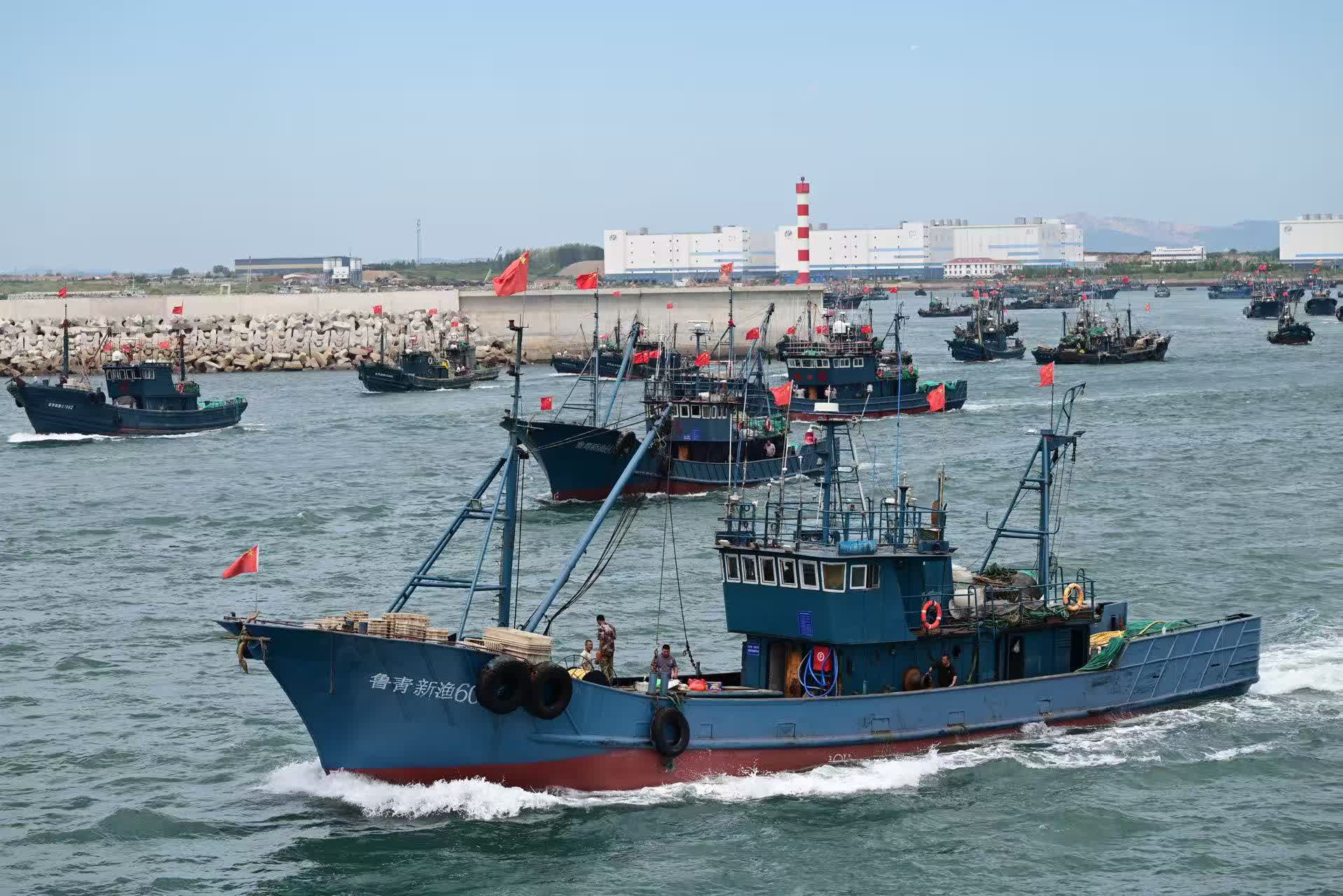 黃渤海伏季休漁期結束青島千帆競發迎開海- 神州- 香港文匯報