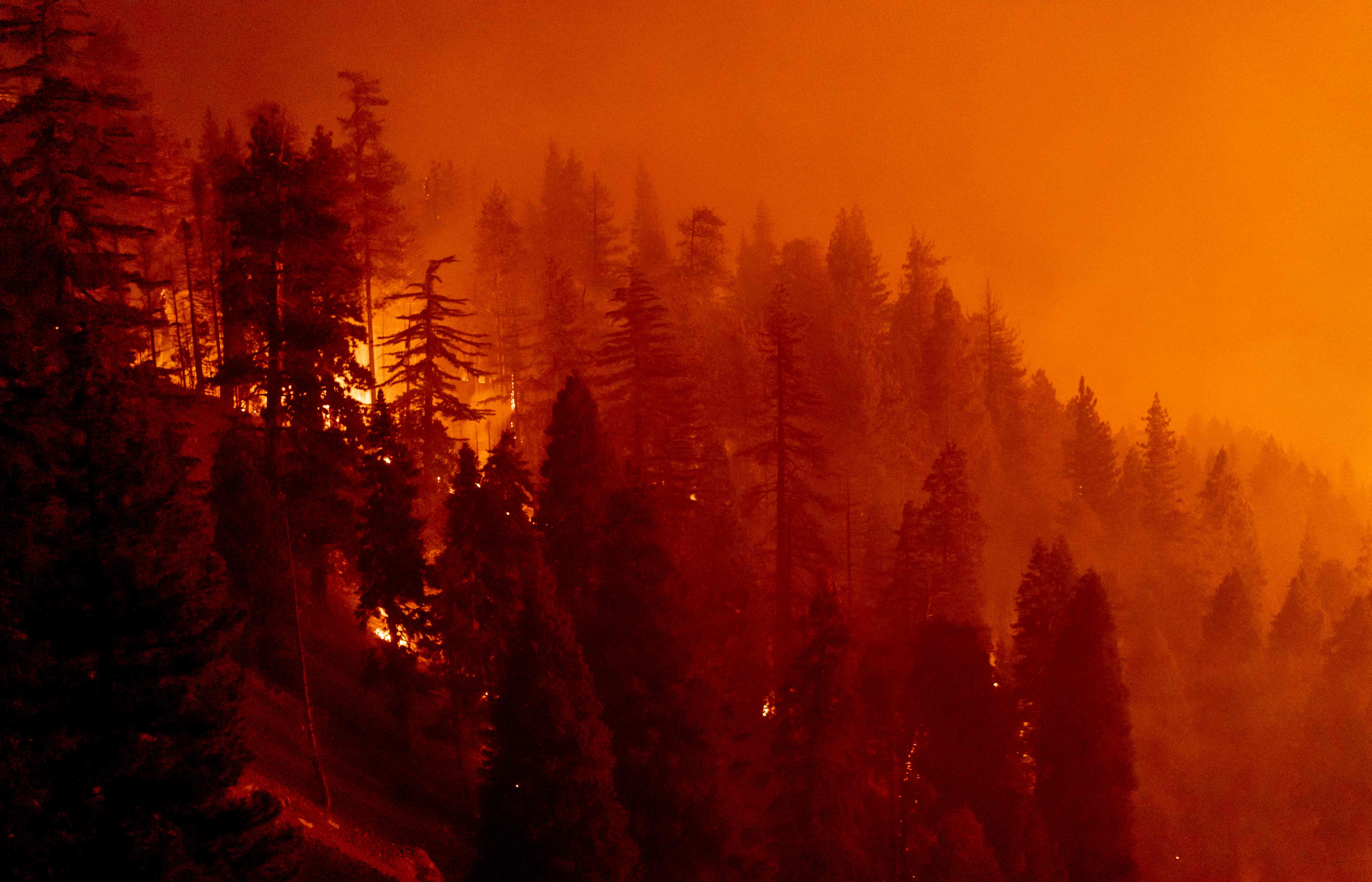 當地時間9月17日，美國加利福尼亞州，山火仍在持續蔓延。（法新社）