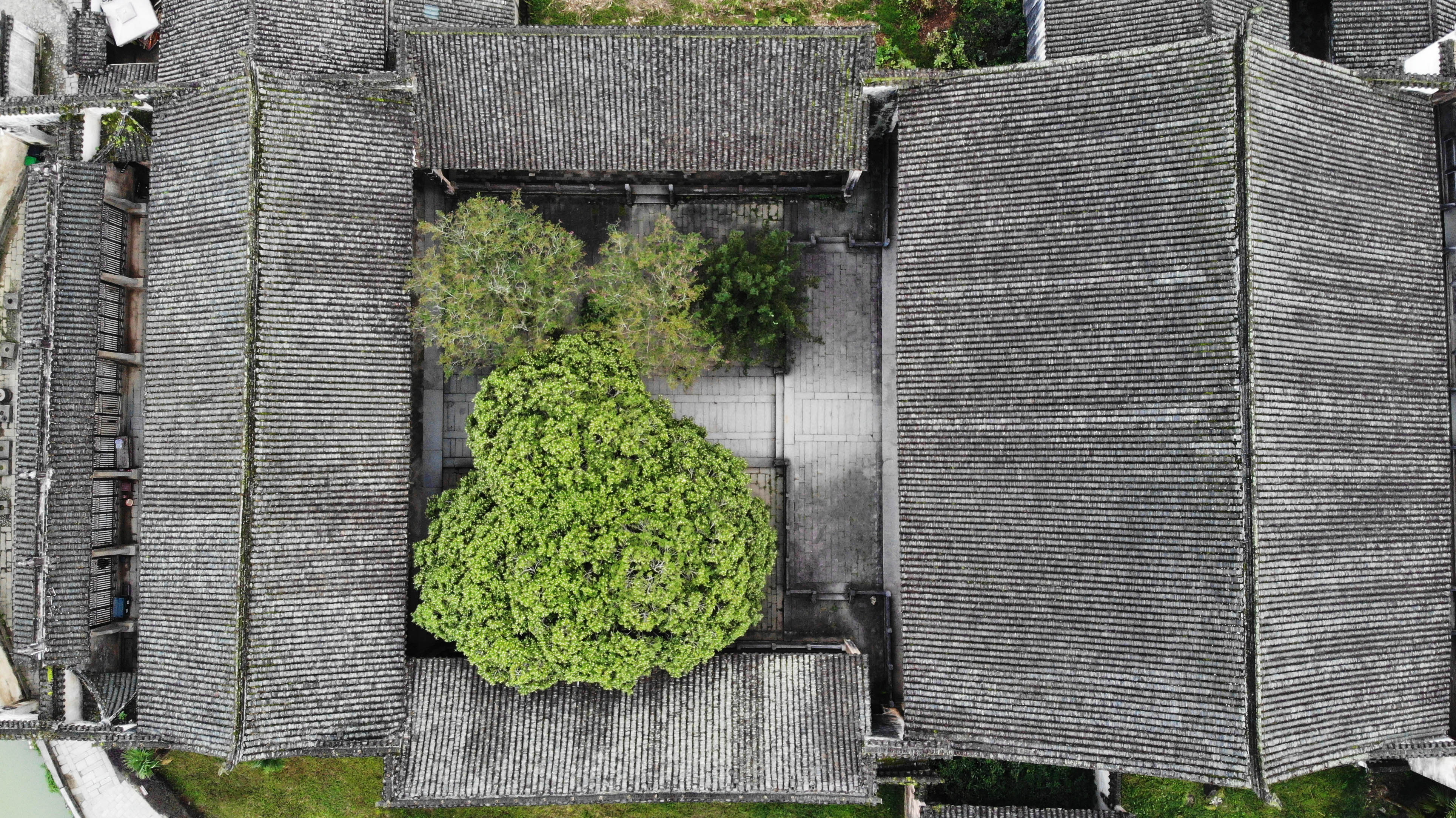 這是9月26日拍攝的呈坎古村一處古建築(無人機照片)。呈坎古村位於安徽省黃山市徽州區，距離合福高鐵黃山北站30分鐘車程，始建於東漢時期，現有古建築遺址100餘處。秋日呈坎，古村與遠山交相輝映，構成一幅美麗的畫卷。