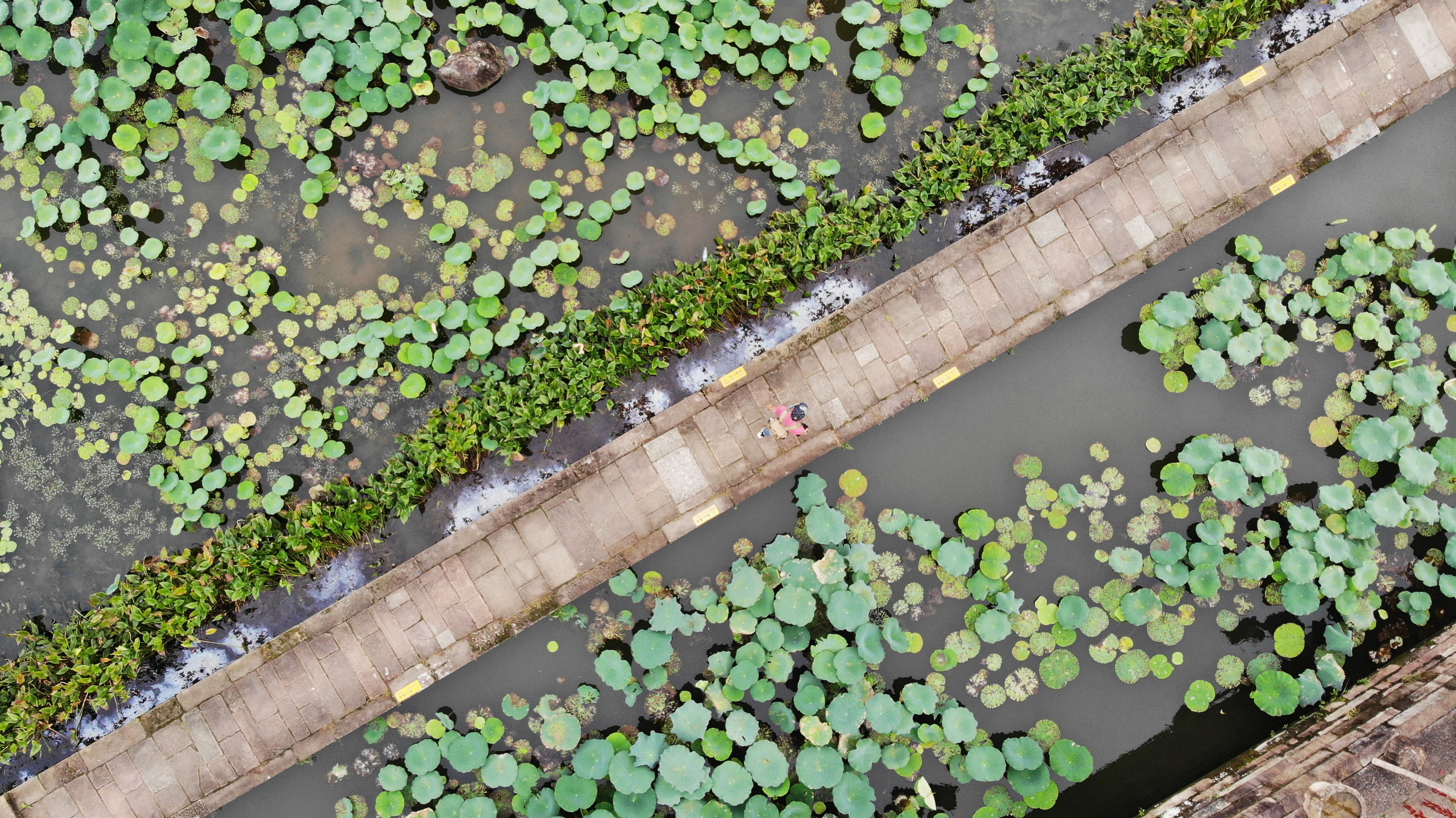 9月25日，遊客在呈坎古村內遊玩(無人機照片)。呈坎古村位於安徽省黃山市徽州區，距離合福高鐵黃山北站30分鐘車程，始建於東漢時期，現有古建築遺址100餘處。秋日呈坎，古村與遠山交相輝映，構成一幅美麗的畫卷。