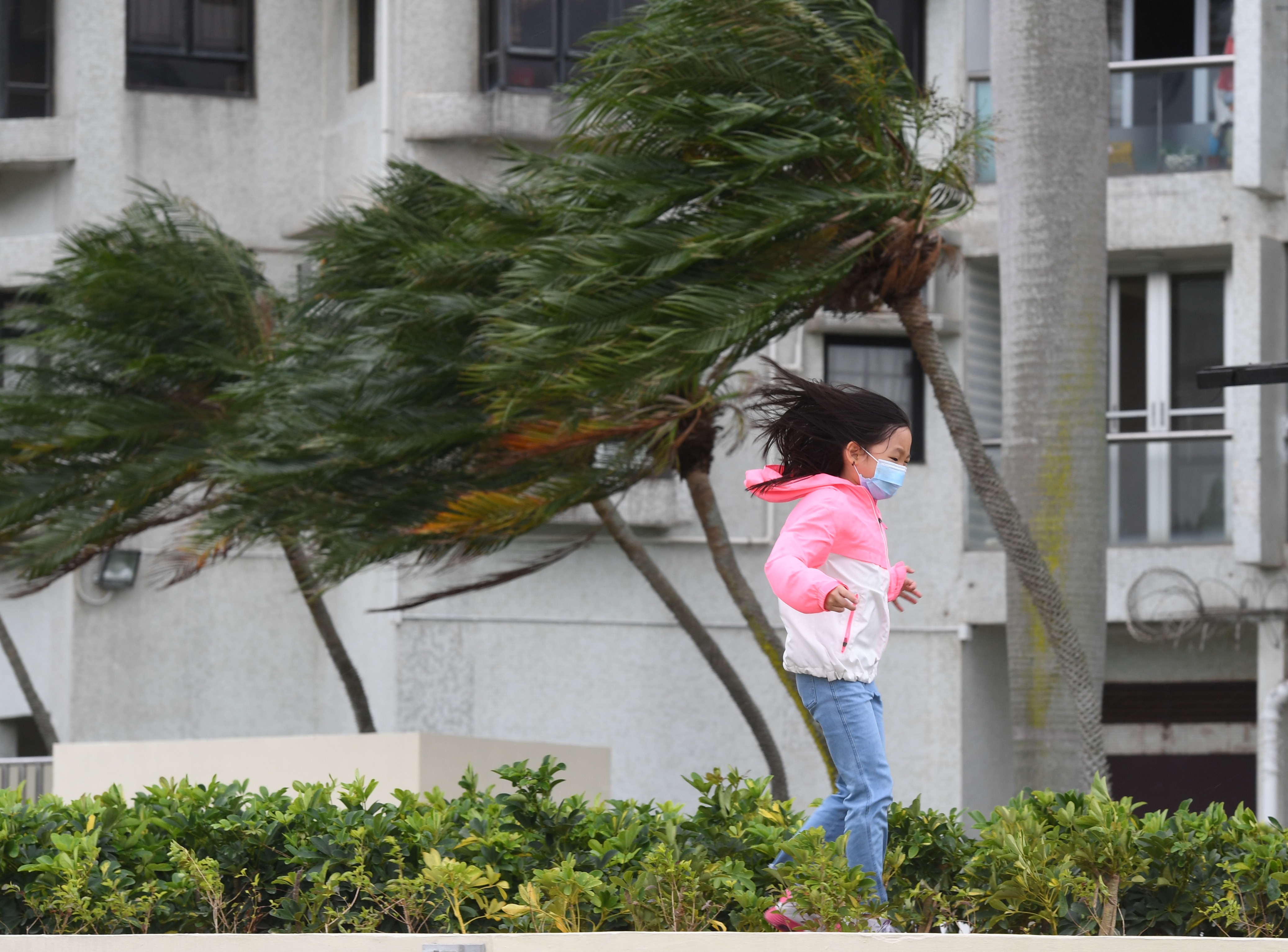 今早，港島東區杏花村部分市民不懼風浪吹襲，到海邊觀浪「打卡」。（大公文匯全媒體記者攝）
