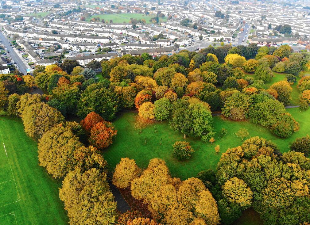 隨著秋季來臨，都柏林大片色彩斑斕的樹葉將城市裝扮得分外嬌嬈。
這是10月18日在愛爾蘭首都都柏林拍攝的秋景（無人機照片）。（新華社）