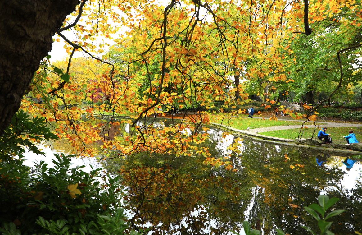 10月18日，人們在愛爾蘭首都都柏林的一個公園內休閒。（新華社）