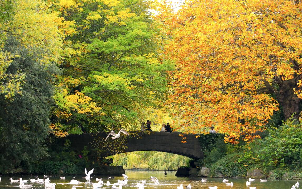 這是10月18日在愛爾蘭首都都柏林的一個公園內拍攝的秋景。（新華社）
