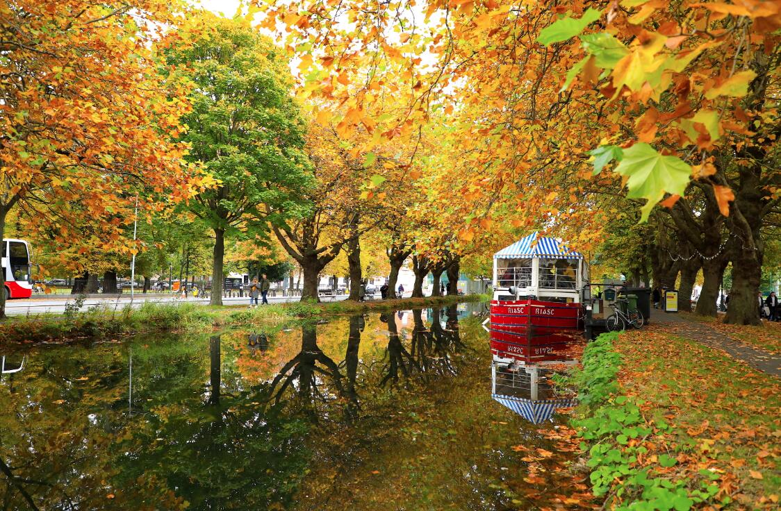 这是10月18日在爱尔兰首都都柏林拍摄的河边秋景。（新華社）