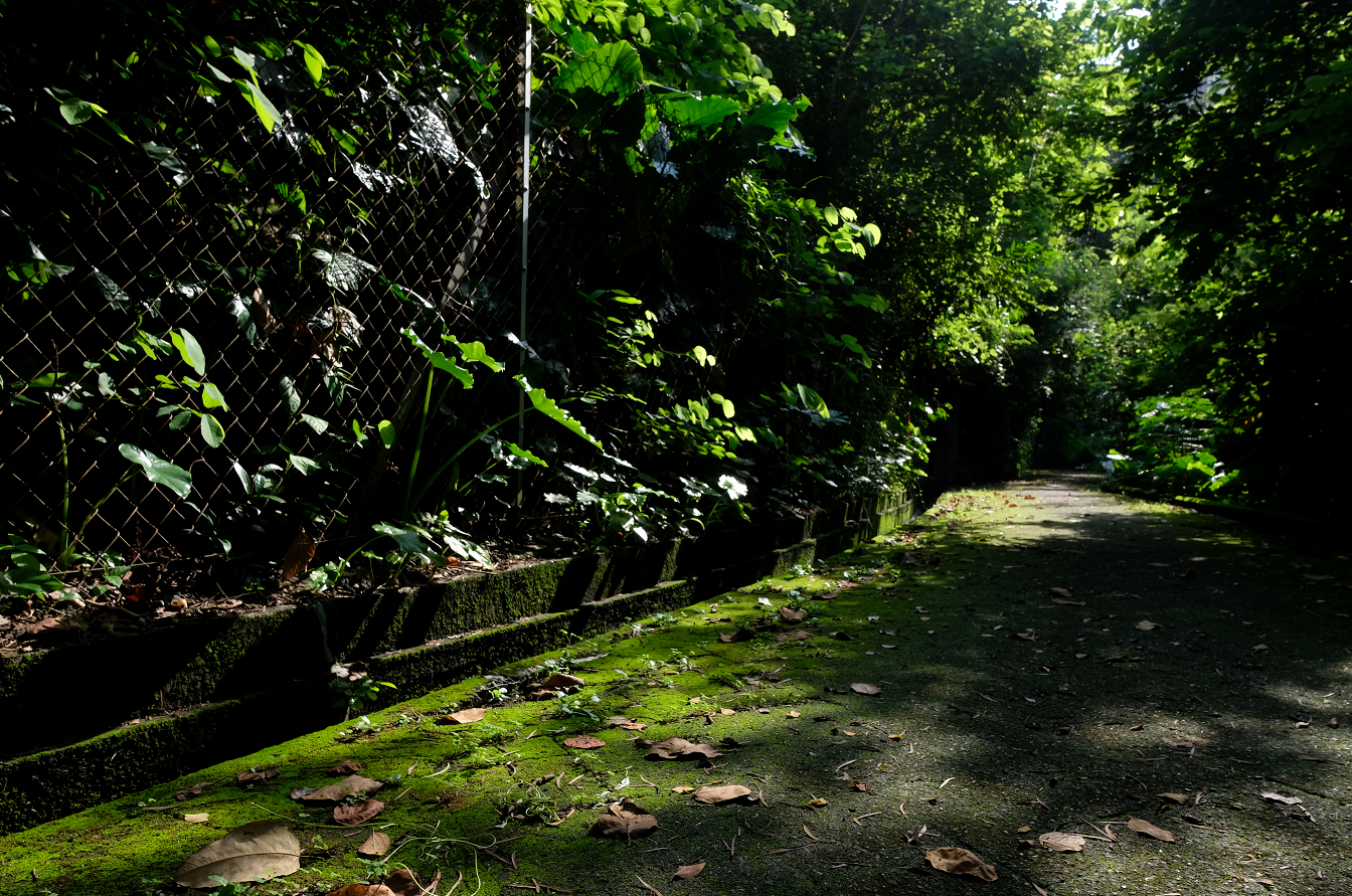 葵涌公園周邊設施，包括出入口通道，同樣被荒廢了20年。（大公文匯全媒體記者 攝）
