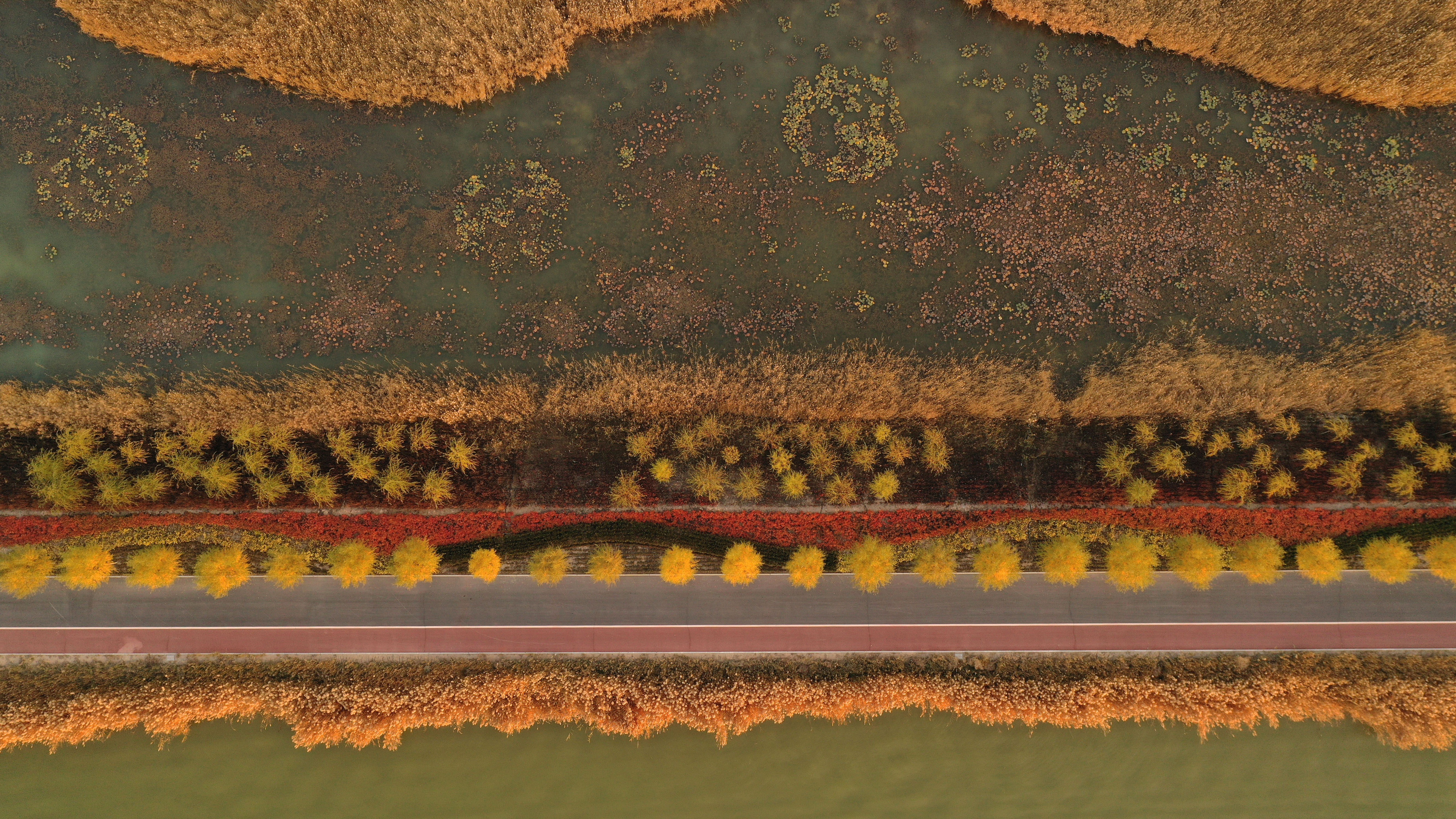 這是10月18日在寧夏沙湖景區拍攝的夕陽下的彩虹橋。金秋十月，位於寧夏石嘴山市平羅縣的沙湖景區秋色浸染，葦蕩金黃、候鳥翔集，構成一幅美麗的塞上江南秋景圖。（新華社）

