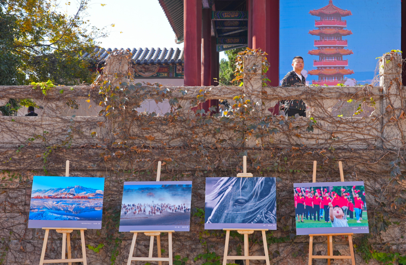 10月24日，觀眾在徐州攝影展上觀展。（新華社）