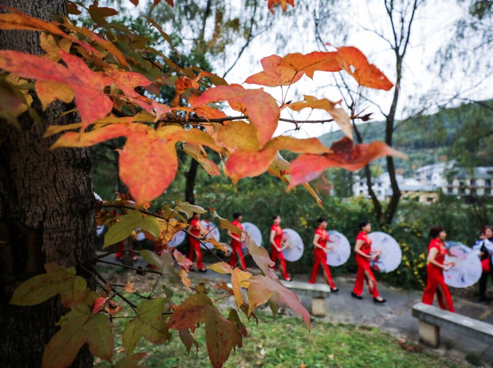 紅葉為秋日山村增添了亮麗的色彩（11月1日攝）。（新華社）