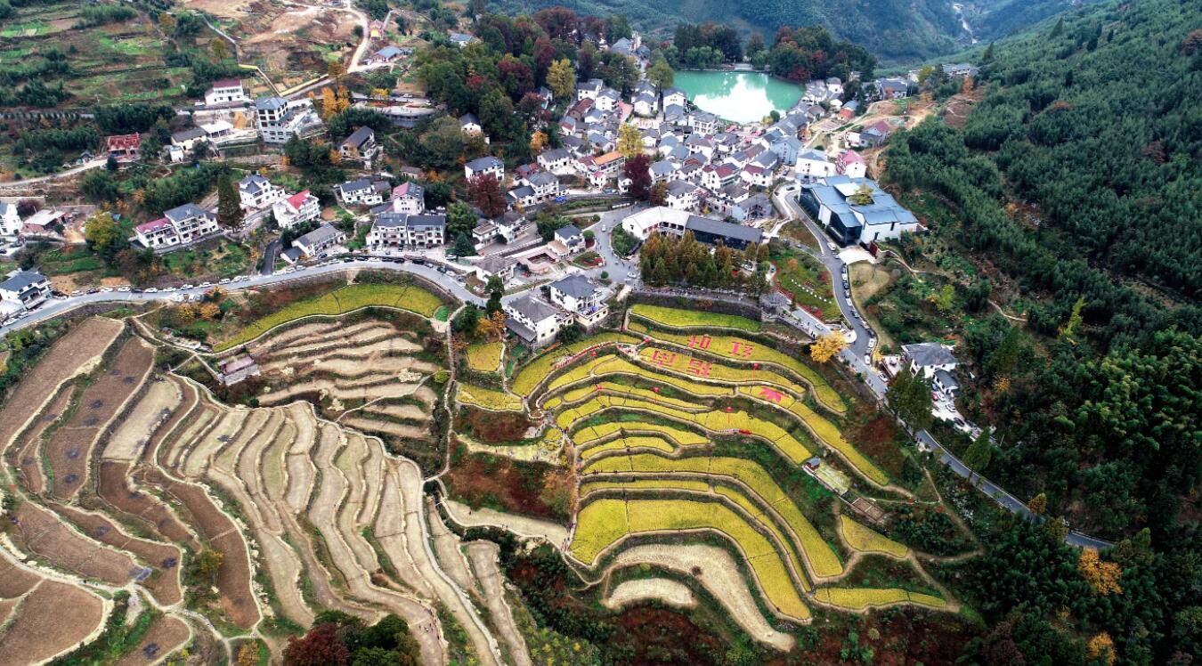 11月1日空中俯瞰指南村（無人機照片）。（新華社）