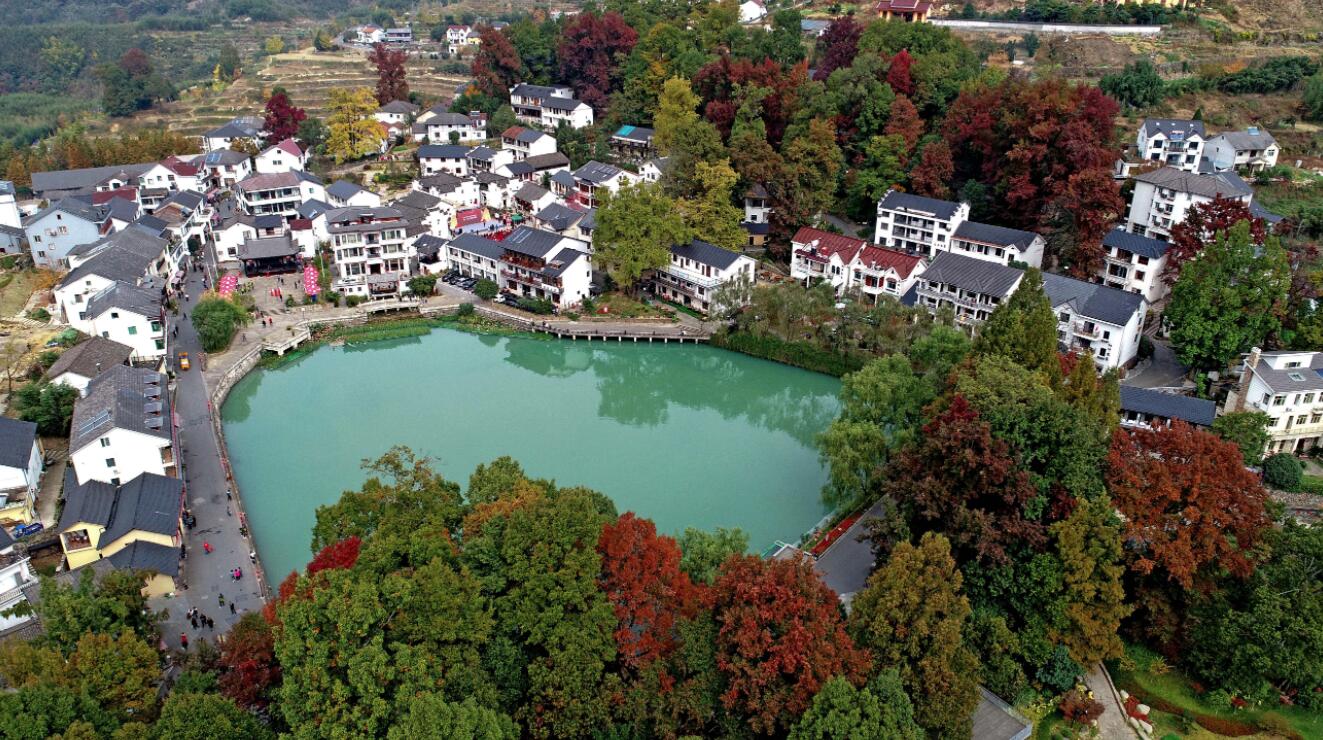 11月1日空中俯瞰指南村（無人機照片）。（新華社）