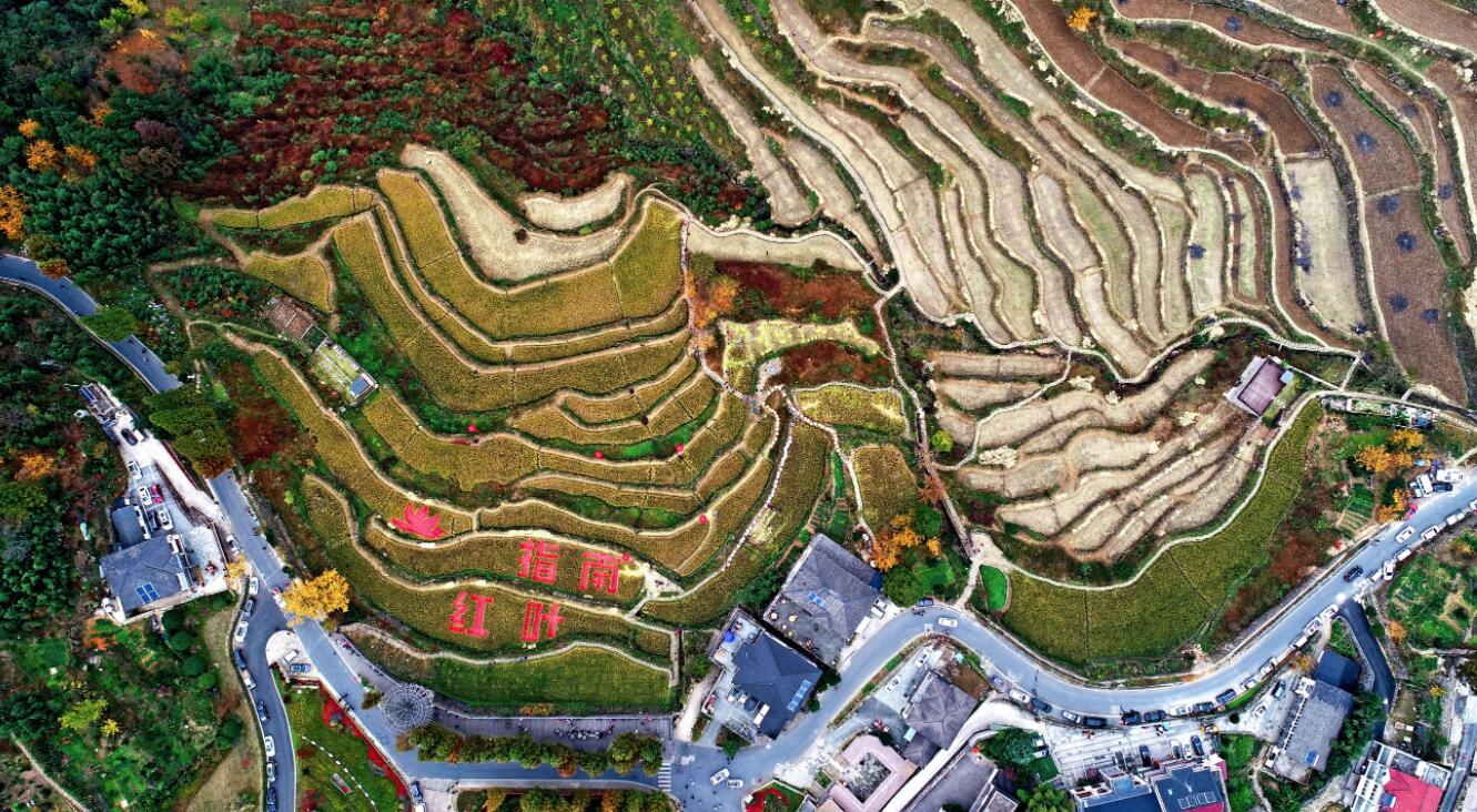 11月1日空中俯瞰指南村（無人機照片）。（新華社）