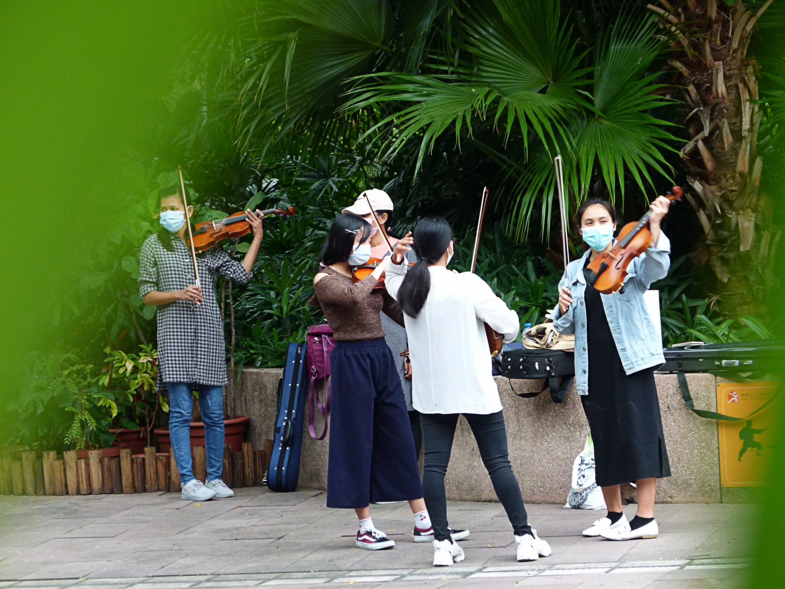 11月15日,外傭在尖沙咀九龍公園練習小提琴。(中新社) 11月15日,外傭在尖沙咀九龍公園練習小提琴。(中新社)