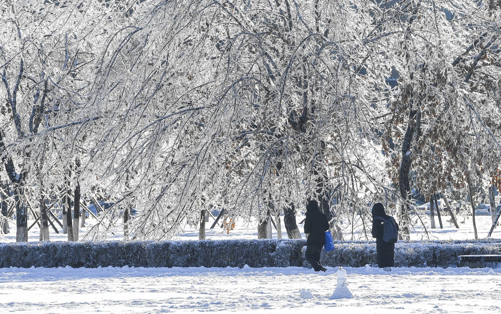 市民在長春市文化廣場欣賞雪景。