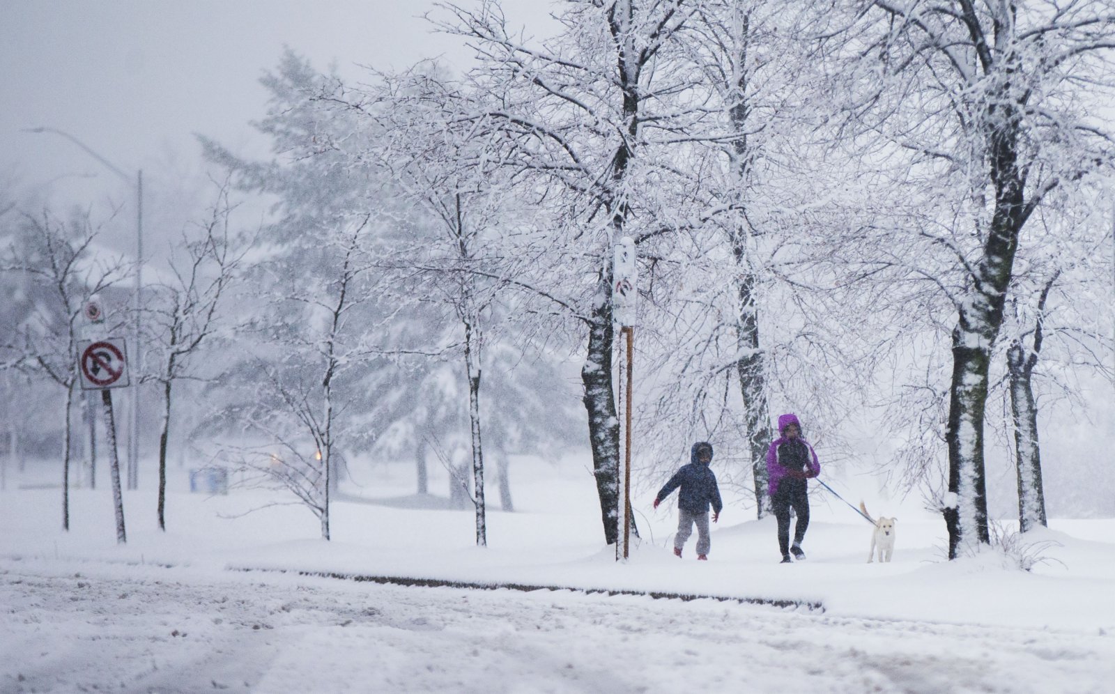 11月22日，在加拿大安大略省米西索加，兩名兒童冒雪遛狗。