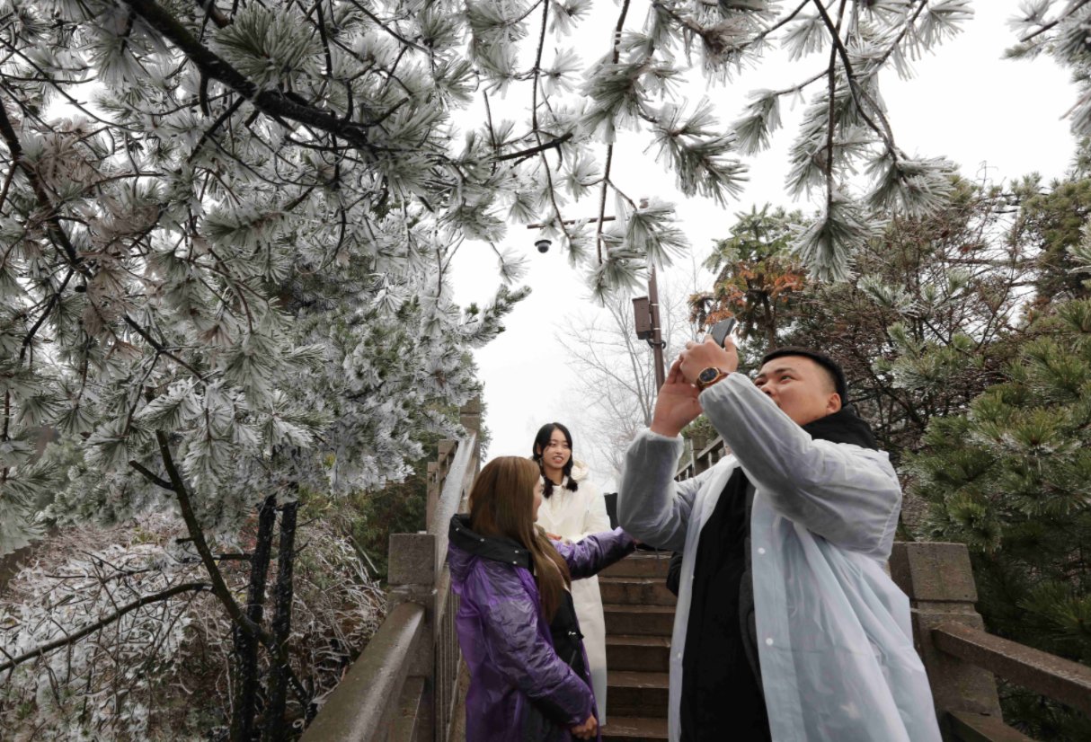 11月23日，遊人在張家界武陵源景區天子山拍攝霧淞景觀。（新華社）