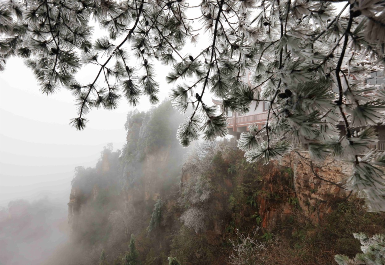 這是11月23日在張家界武陵源景區天子山拍攝的霧淞景觀。（新華社）