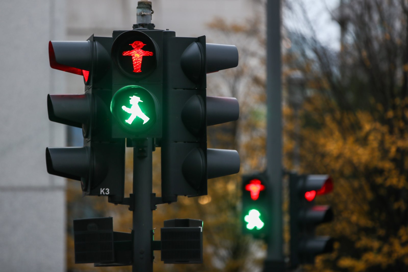 這是11月19日在德國首都柏林拍攝的一座「綠燈小人」雕塑。柏林的人形行人信號燈於1961年由德國交通心理學家卡爾·佩格勞創作，1969年開始投入使用並逐漸普及。其設計的初衷是讓對顏色不敏感的群體更好地識別行人交通信號，同時生動的人物形象更容易被人們接受。此外，這種信號燈的發光面積也比一般的行人信號燈更大，因而更加醒目。時至今日，這種「紅綠燈小人」已經成為了柏林的一種文化符號。（新華社）