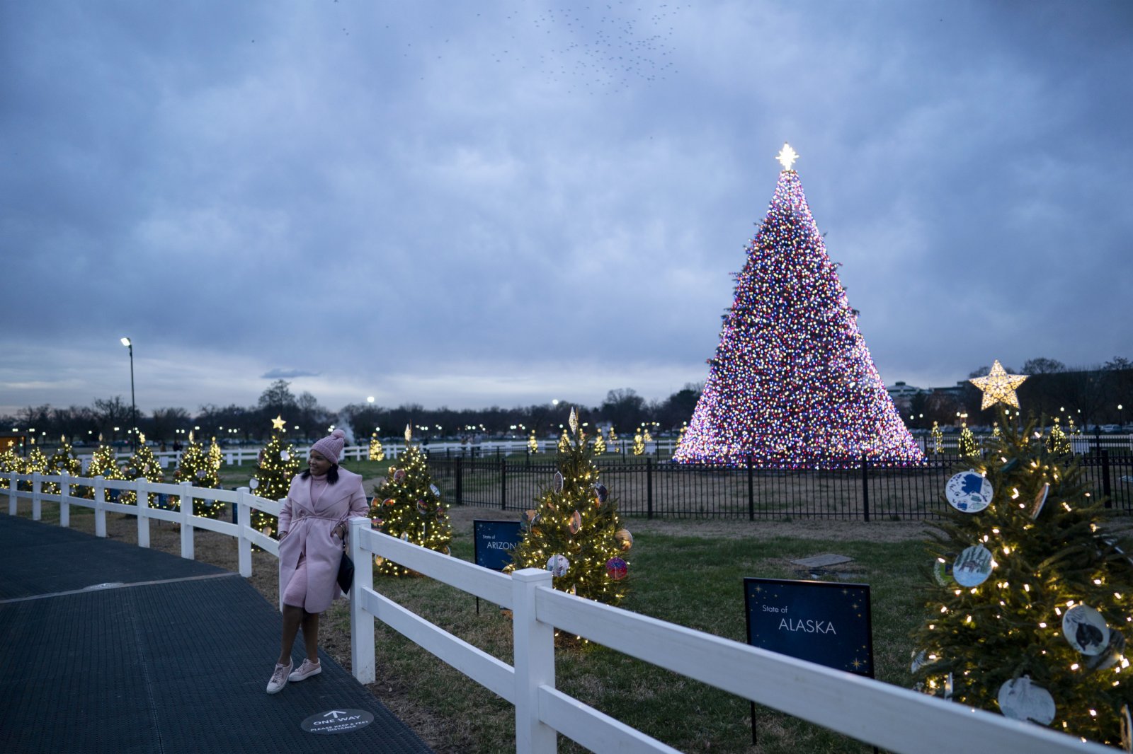 12月4日，一名女子在美國華盛頓國家聖誕樹旁留影。（新華社圖片）