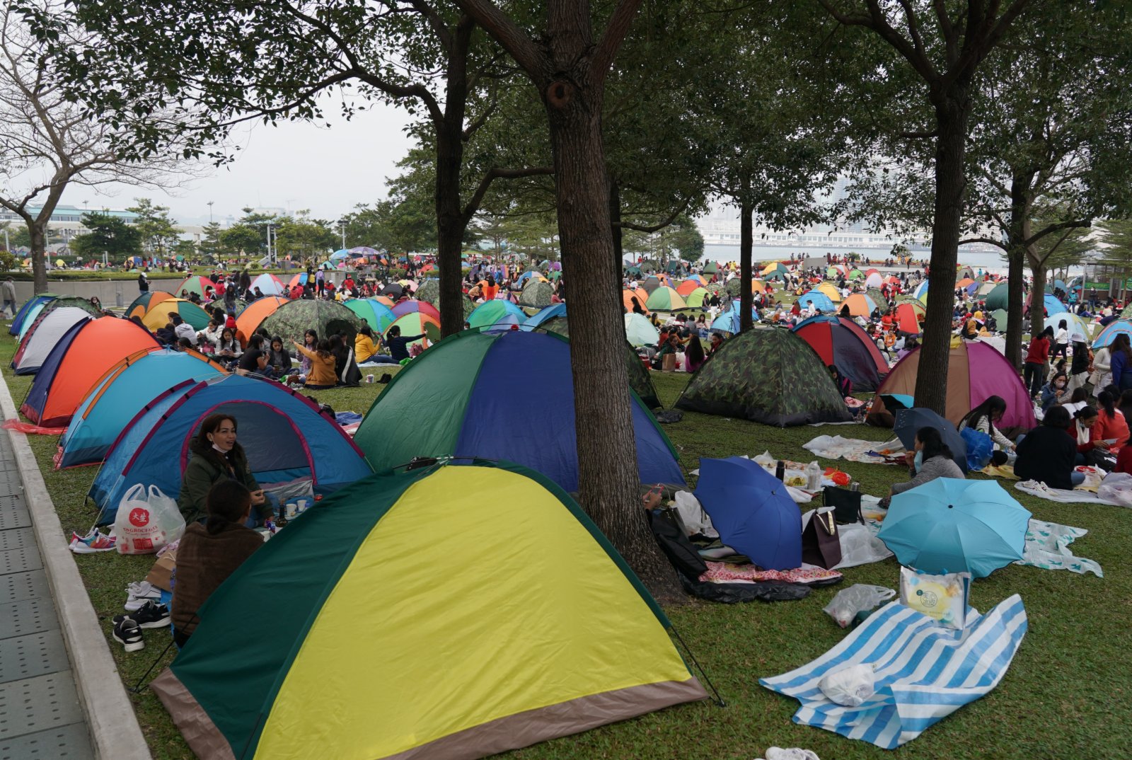 12月25日聖誕節，香港添馬公園變成「露營地」，公園裏到處是帳篷，眾多市民和外傭在這裡休憩度假。（中新社圖片）