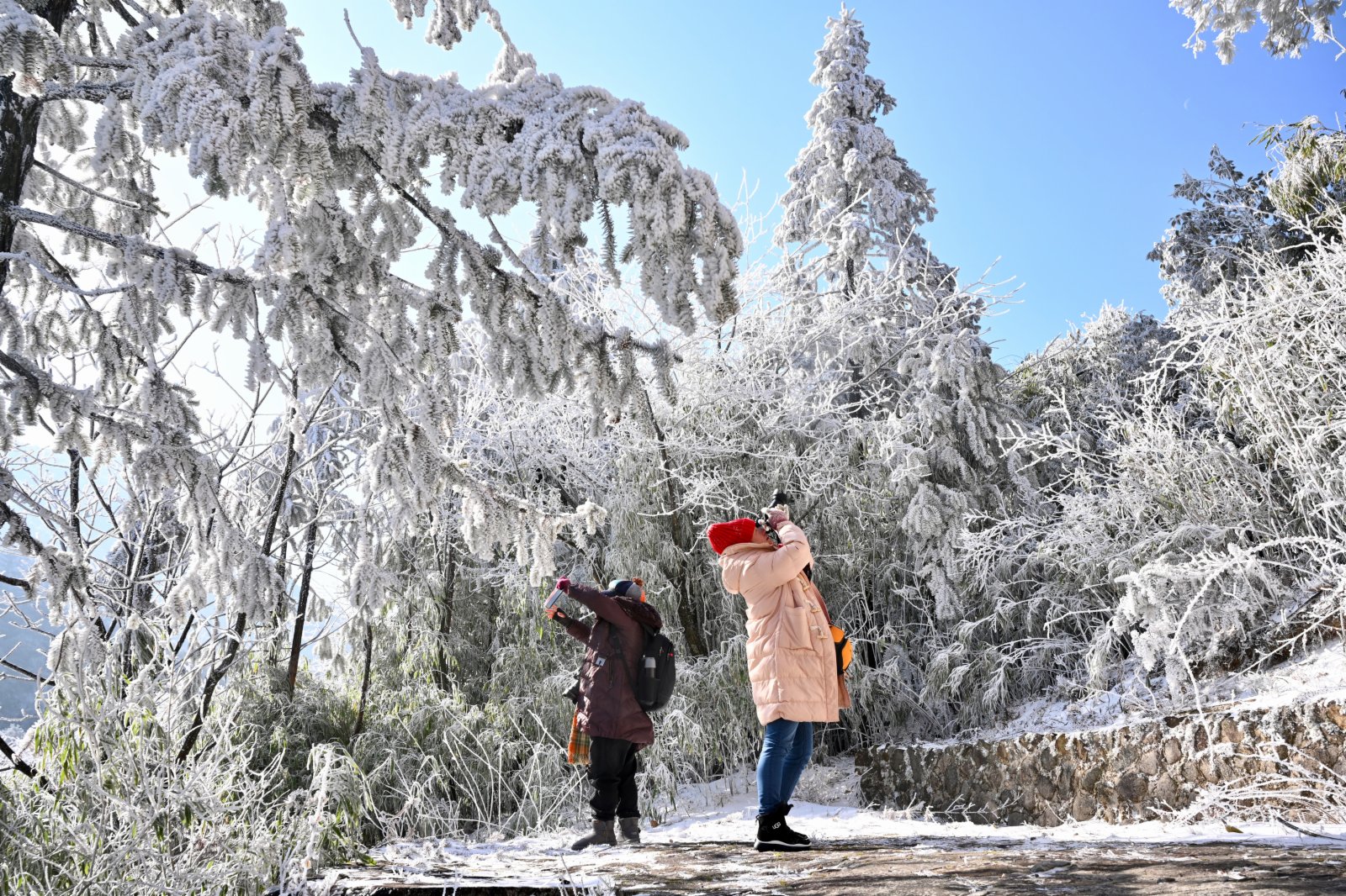 1月8日，遊人在武夷山國家公園腹地桐木關附近拍攝雪景。