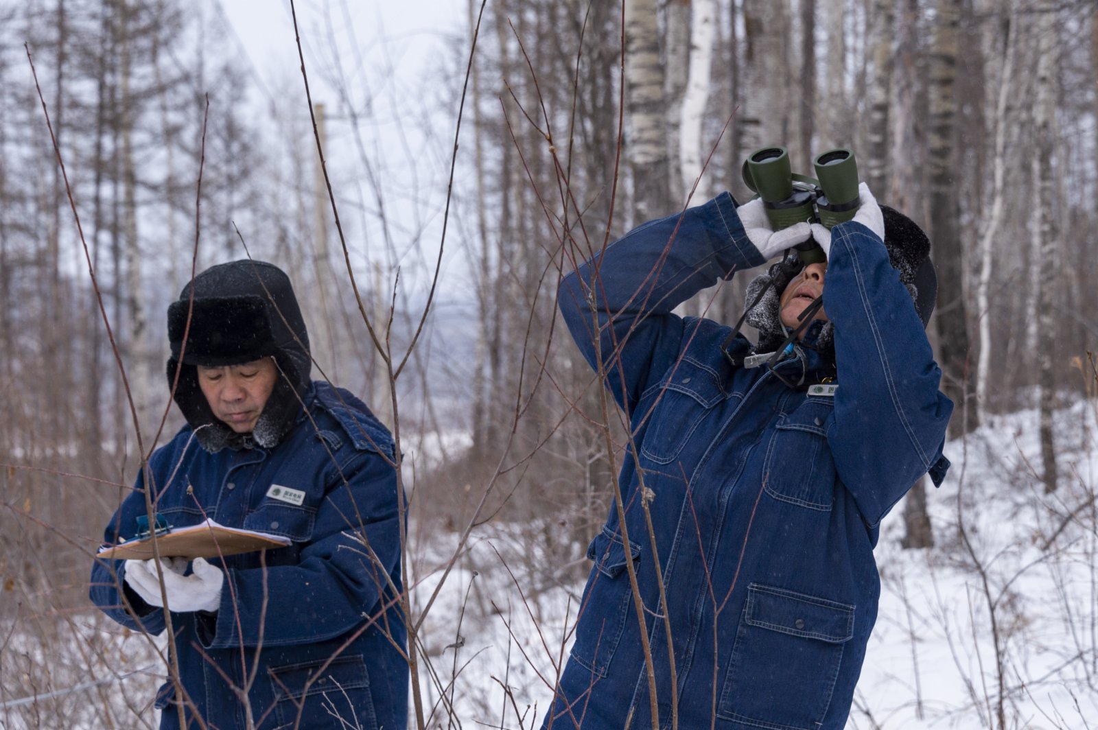 國家電網呼中供電公司巡線檢修工王殿輝（右）和孫林波在查看線路情況（1月7日攝）。（新華社）