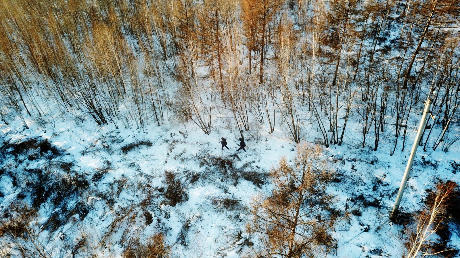 1月7日，國家電網呼中供電公司巡線檢修工王殿輝和孫林波在執行「極寒特巡」任務的巡線途中（無人機照片）。（新華社）