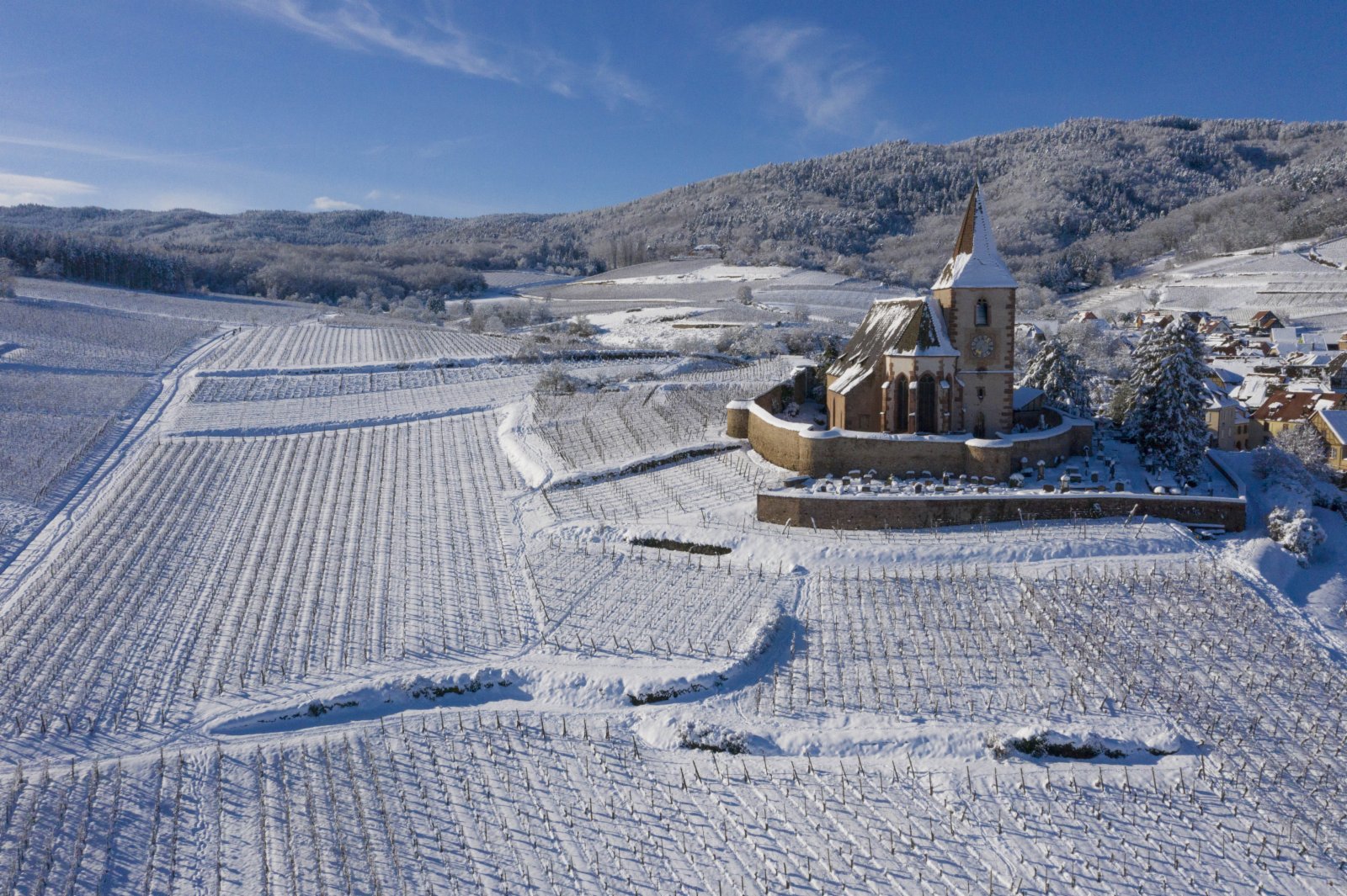 這是1月15日在法國上萊茵省於納維爾拍攝的雪後的葡萄園和教堂。