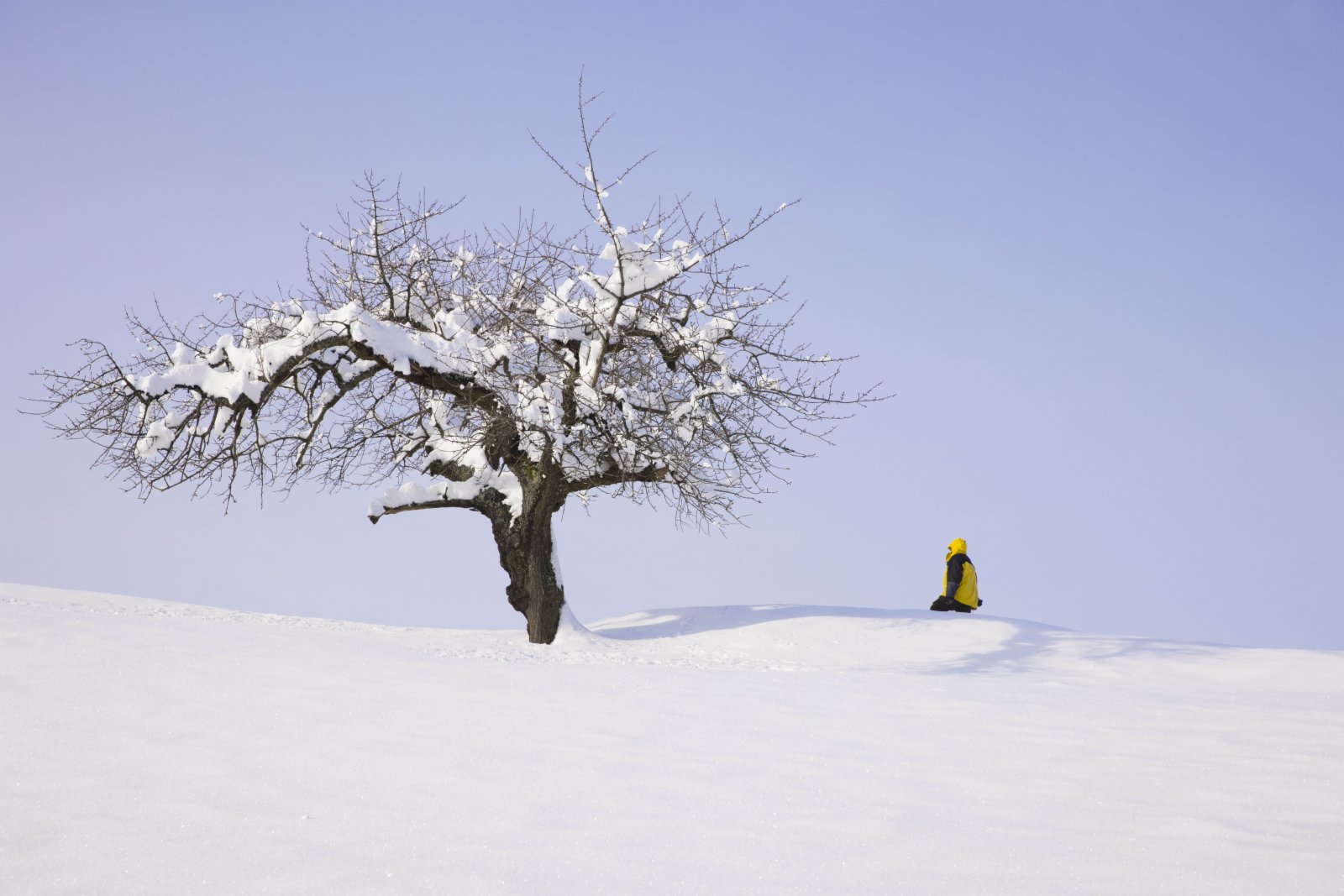 1月16日，在法國上萊茵省弗雷朗，一名男子走在雪後的山坡上。