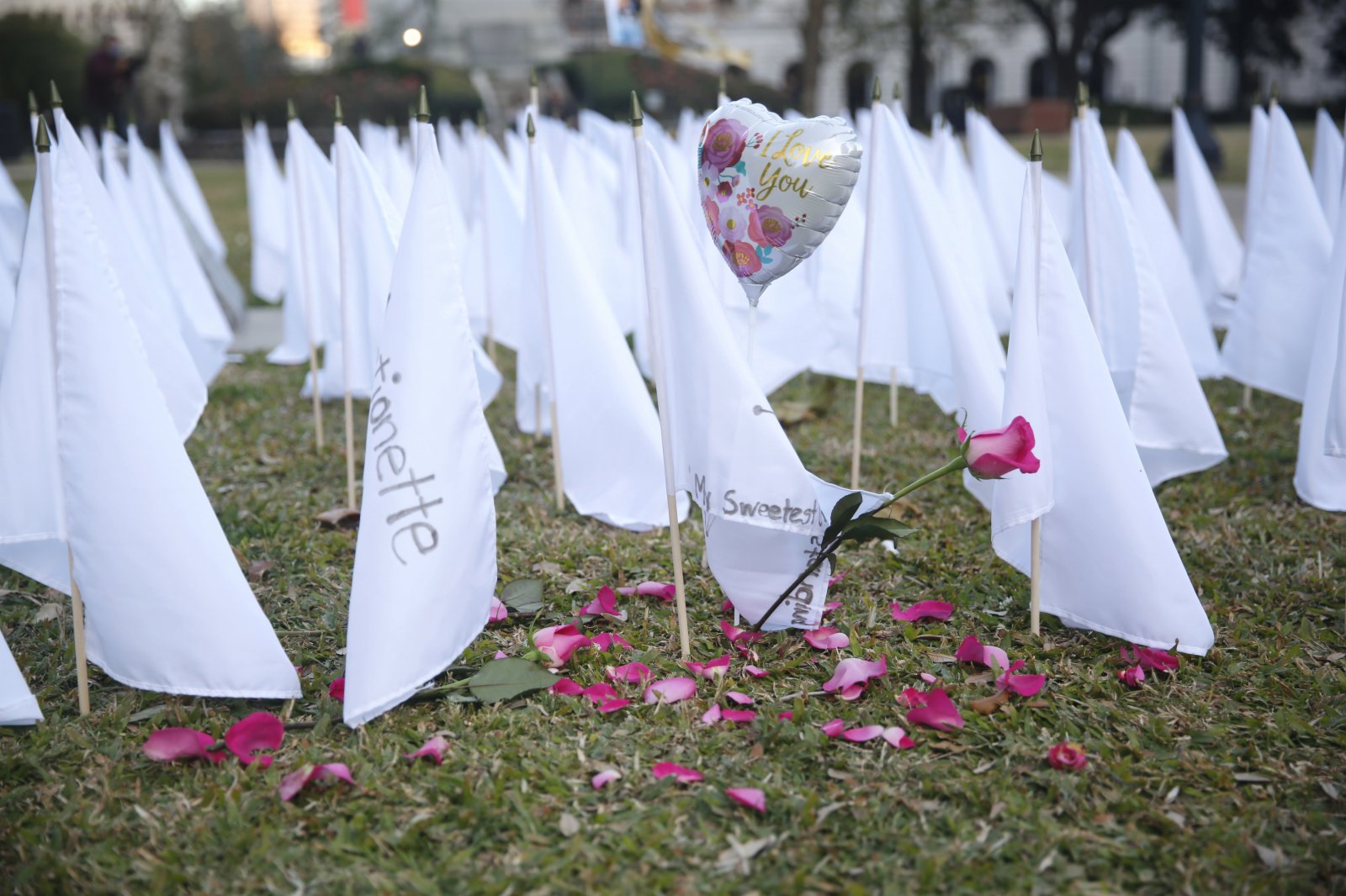 1月19日，在美國路易斯安那州新奧爾良市舉行的新冠逝者悼念儀式上，氣球和花被放置在白旗周圍。新奧爾良市拉斐特廣場上布置了近700面白色旗幟，用以紀念在疫情中喪生的新奧爾良人。（新華社）