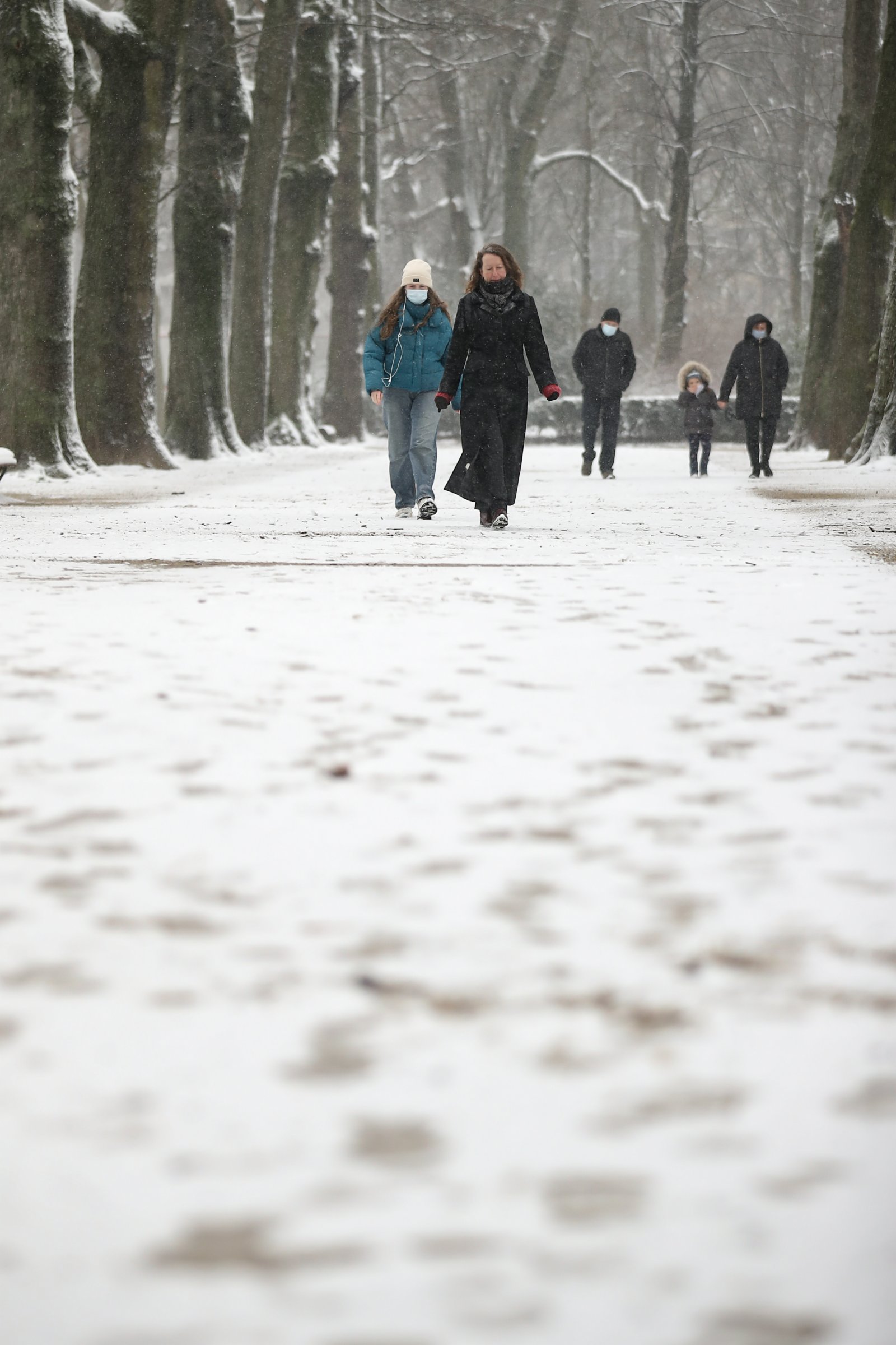 人們在比利時布魯塞爾的五十週年紀念公園賞雪。