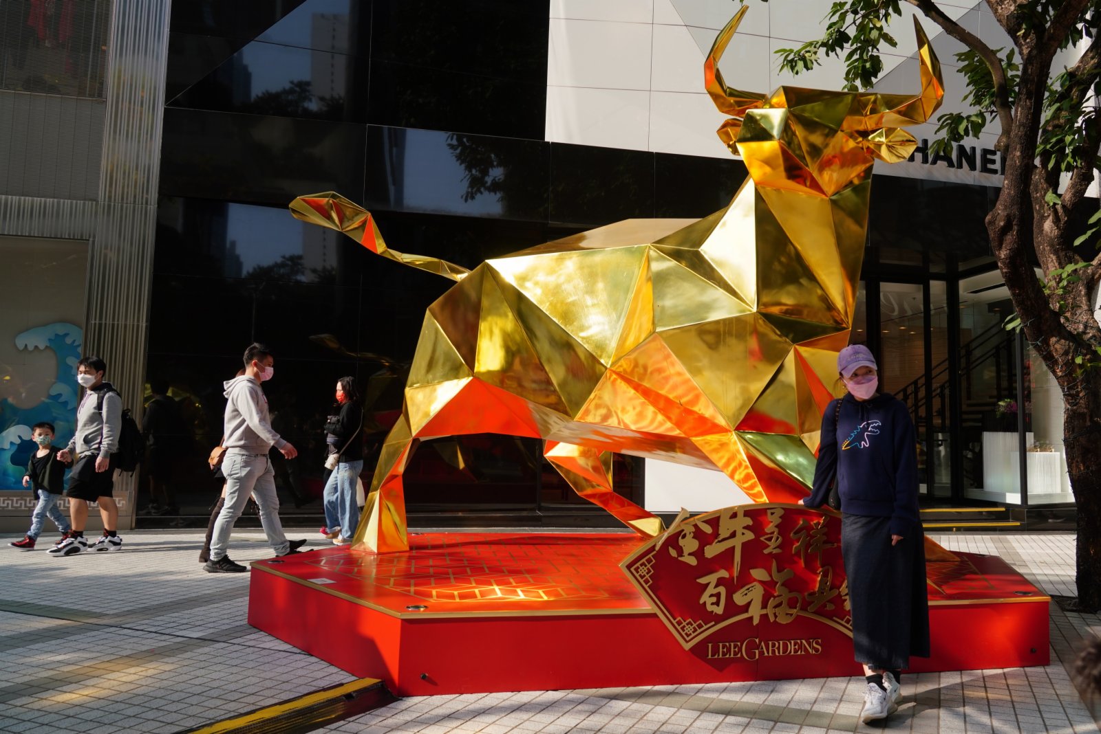 銅鑼灣街頭的「金牛呈祥」裝置吸引眾多市民拍照留念。 